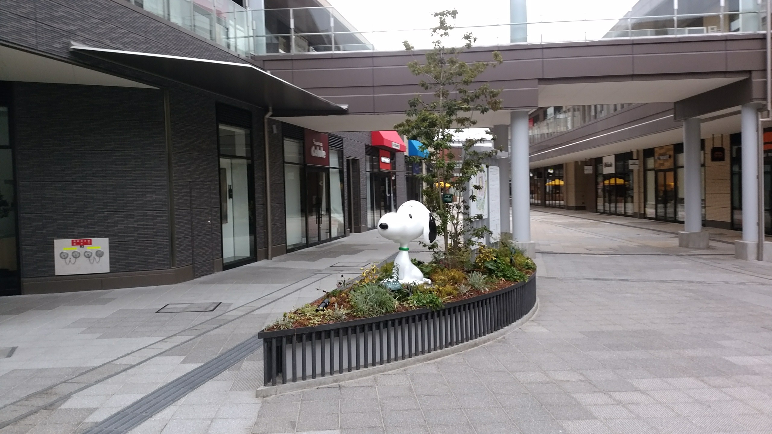 場所は変わったが2年ぶりのスヌーピーミュージアムへ 01 22 副ｷｬﾌﾟﾃﾝhiroshi さんの厚木市の活動日記 Yamap ヤマップ