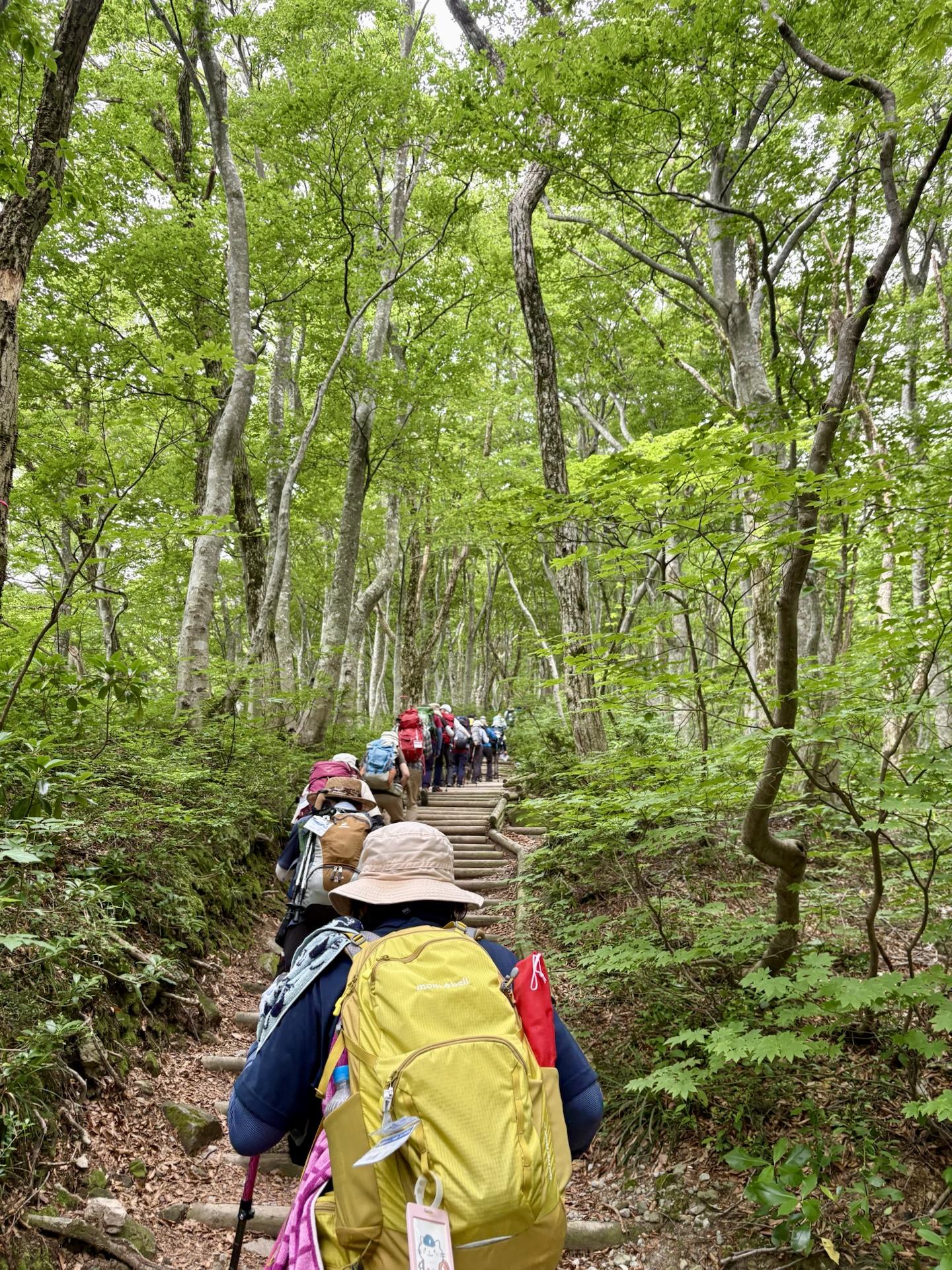 大山・甲ヶ山・野田ヶ山 綺麗だ！