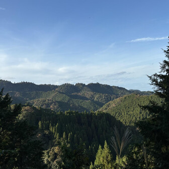高尾山・陣馬山・景信山 唯一眺望の開けていた草戸峠からの景色。