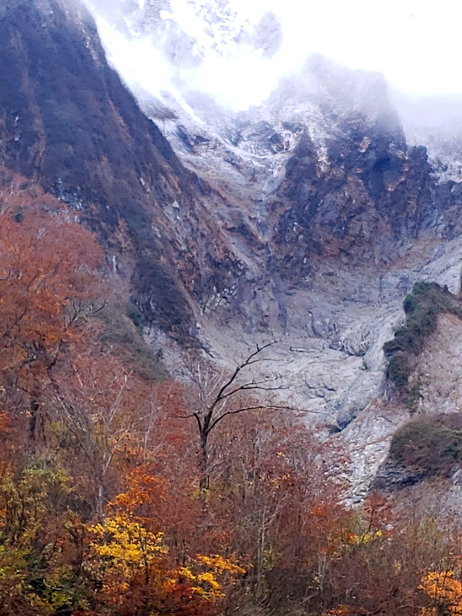 谷川岳 一ノ倉沢を見に行く Natoさんの谷川岳 七ツ小屋山 大源太山の活動日記 Yamap ヤマップ
