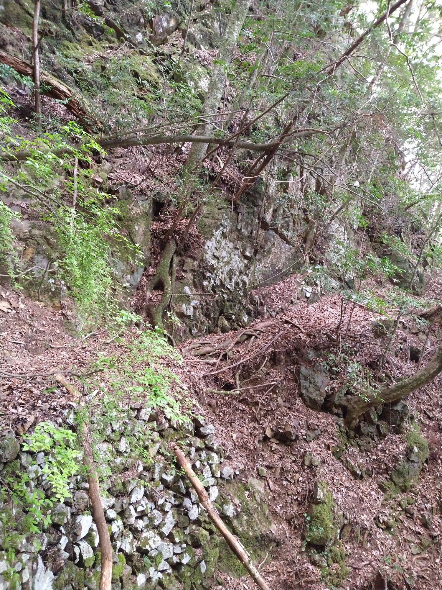 古道三里越 Niziplusさんの十津川 旭川の活動日記 Yamap ヤマップ