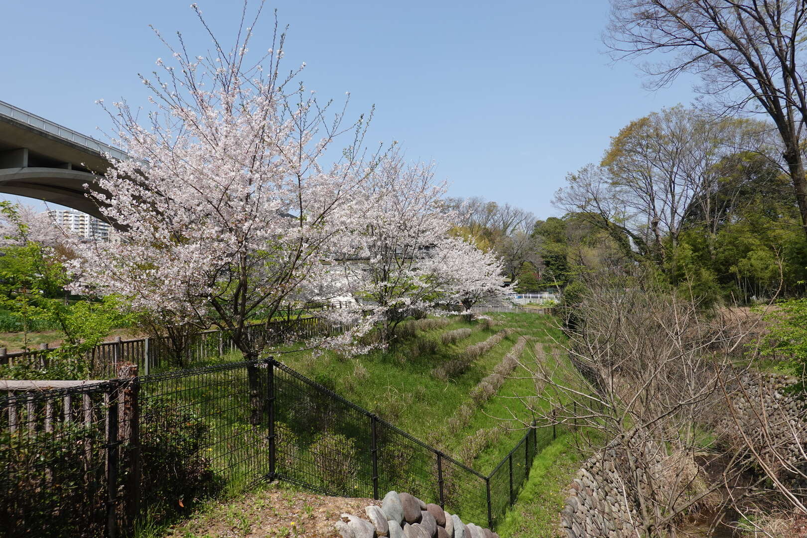 多摩丘陵(多摩丘陵の眼下に広がる景観をながめ、小鳥の声に耳を傾けるコース)
