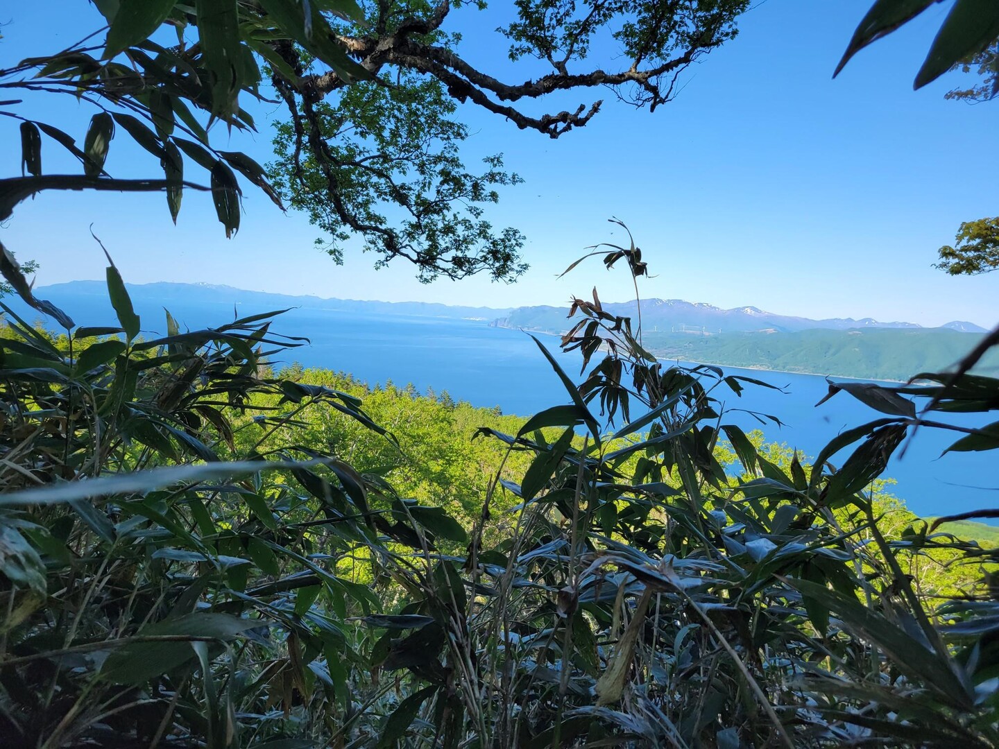 ほろ苦い💦母衣月山。温泉で母心？ / ふじやんさんの母衣月山の活動データ YAMAP / ヤマップ