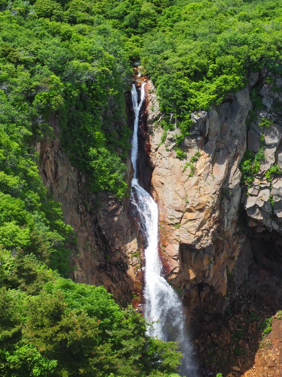 最大48 Offクーポン 高山植物2集 シナノキンバイ 未使用60円切手 627 Bagochile Cl