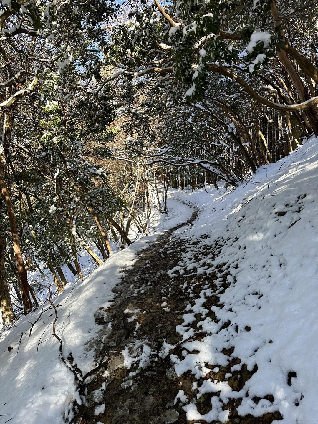偉大な自然と伝説が残る牛尾山ハイキング | 山科旅感 | 京都・山科の観光