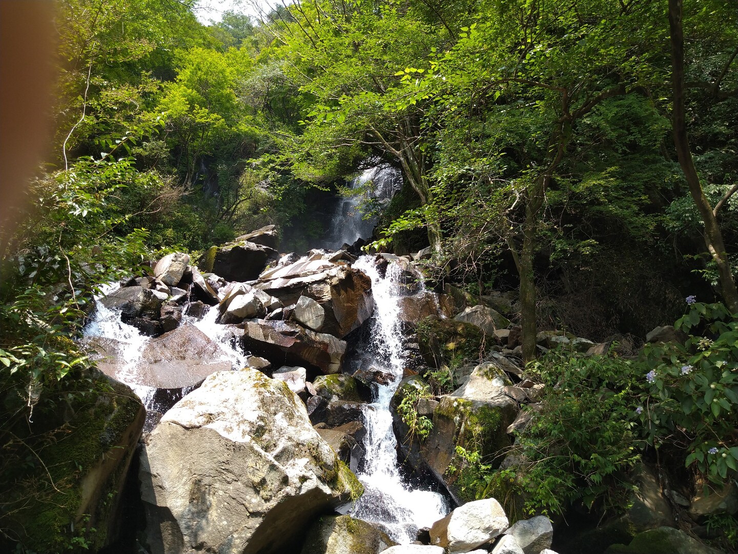 飛龍の滝 畑宿 小涌谷 Tontonさんの箱根山 神山の活動データ Yamap ヤマップ