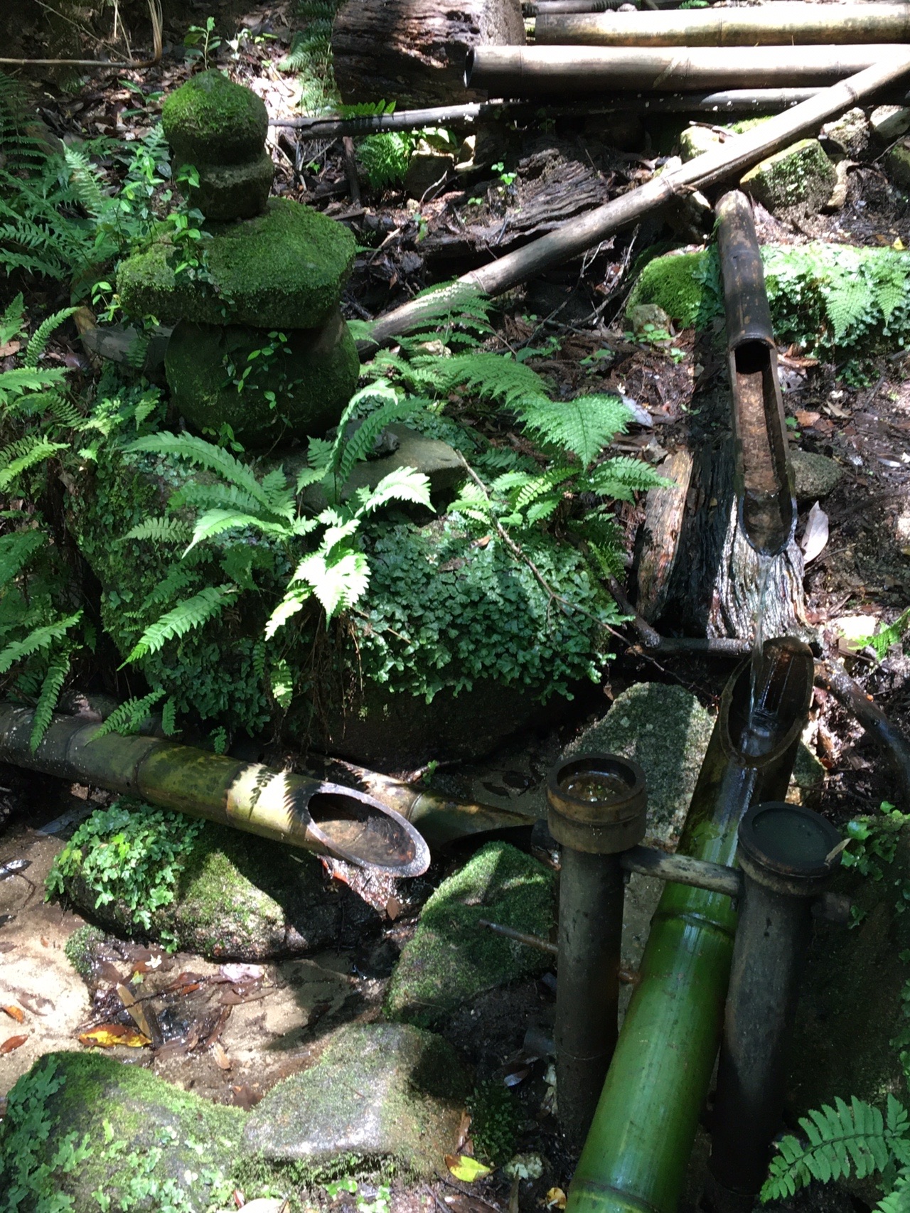 椎尾山 坊主山 筑波山 男体山 な みさんの筑波山の活動日記 Yamap ヤマップ