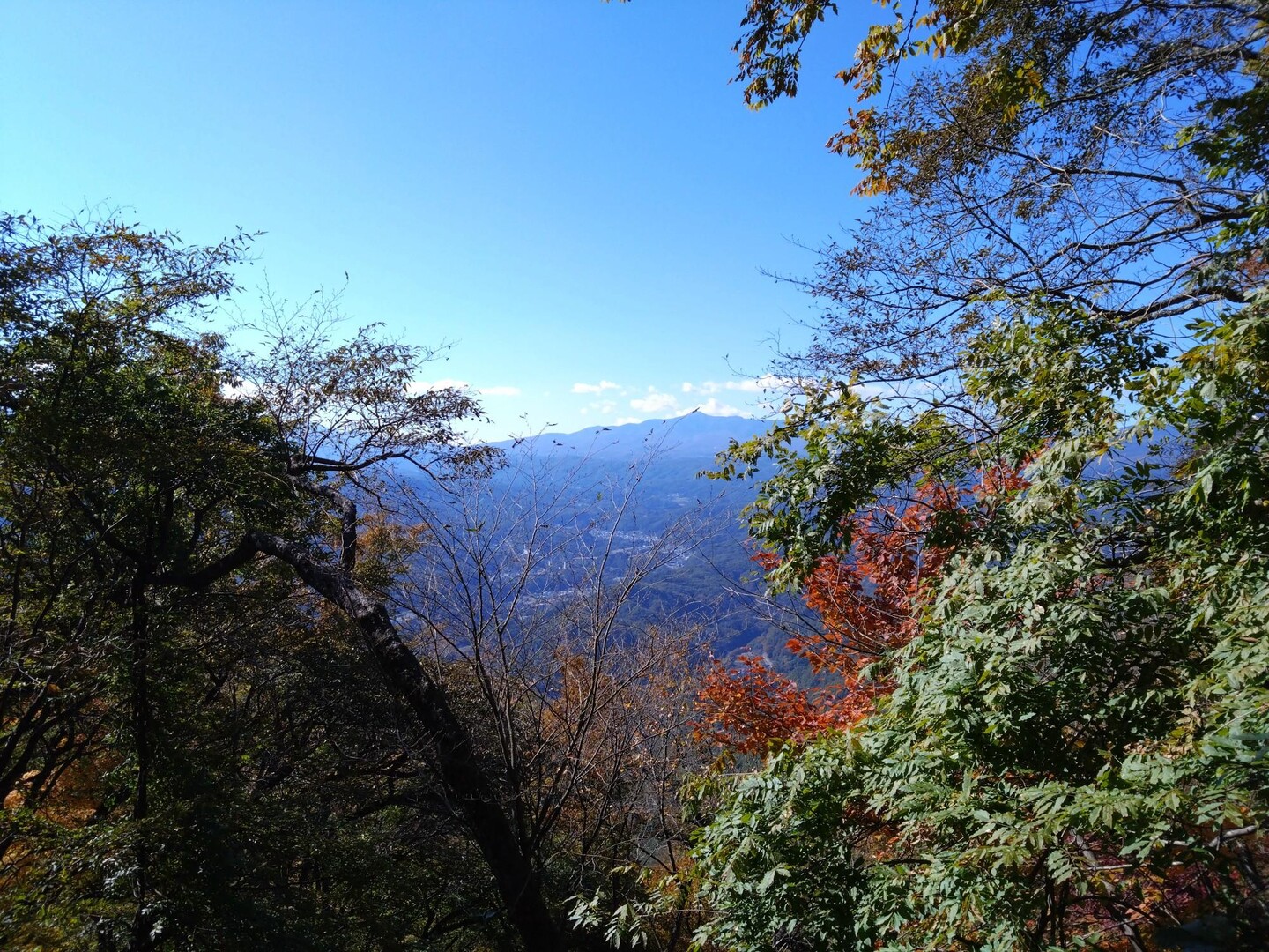 王城山 / まめさんの王城山・高間山の活動データ YAMAP / ヤマップ