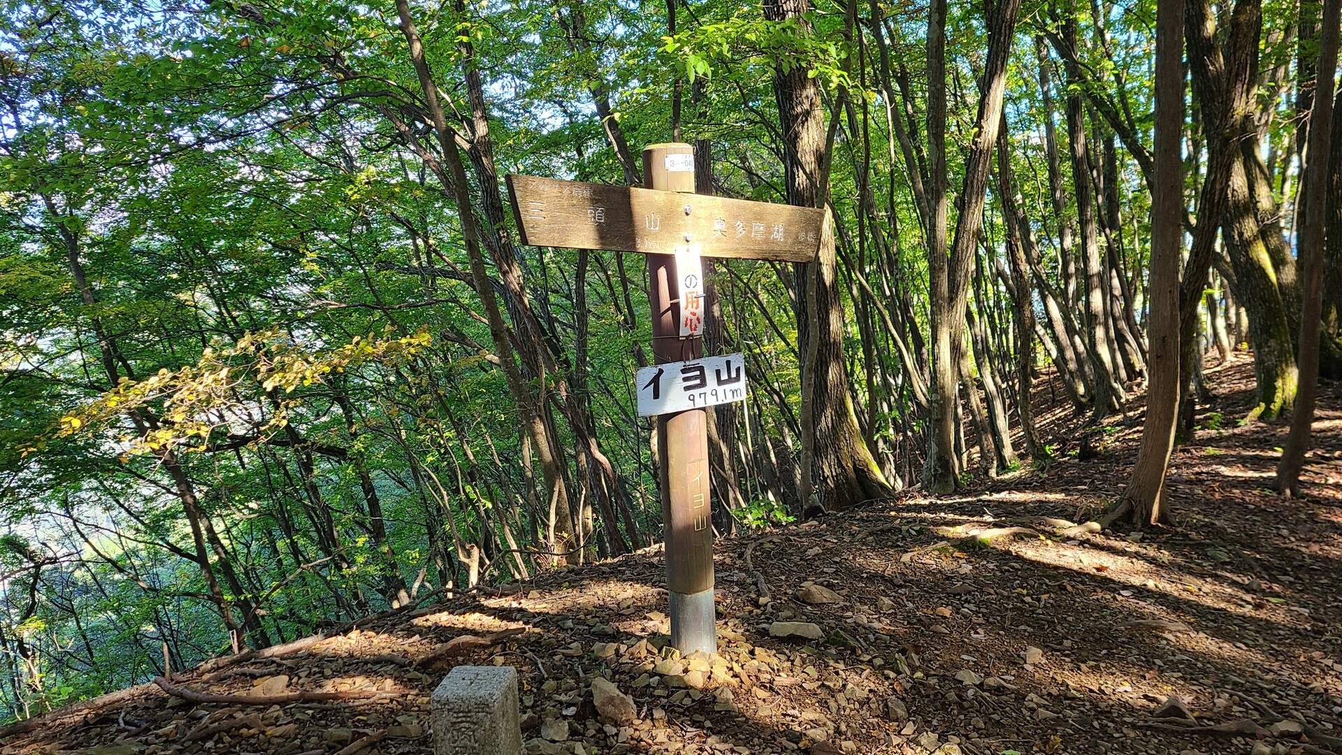 ハセツネcup 日本山岳耐久レース 71 5kmコース の登山ルート コースタイム付き無料登山地図 Yamap ヤマップ