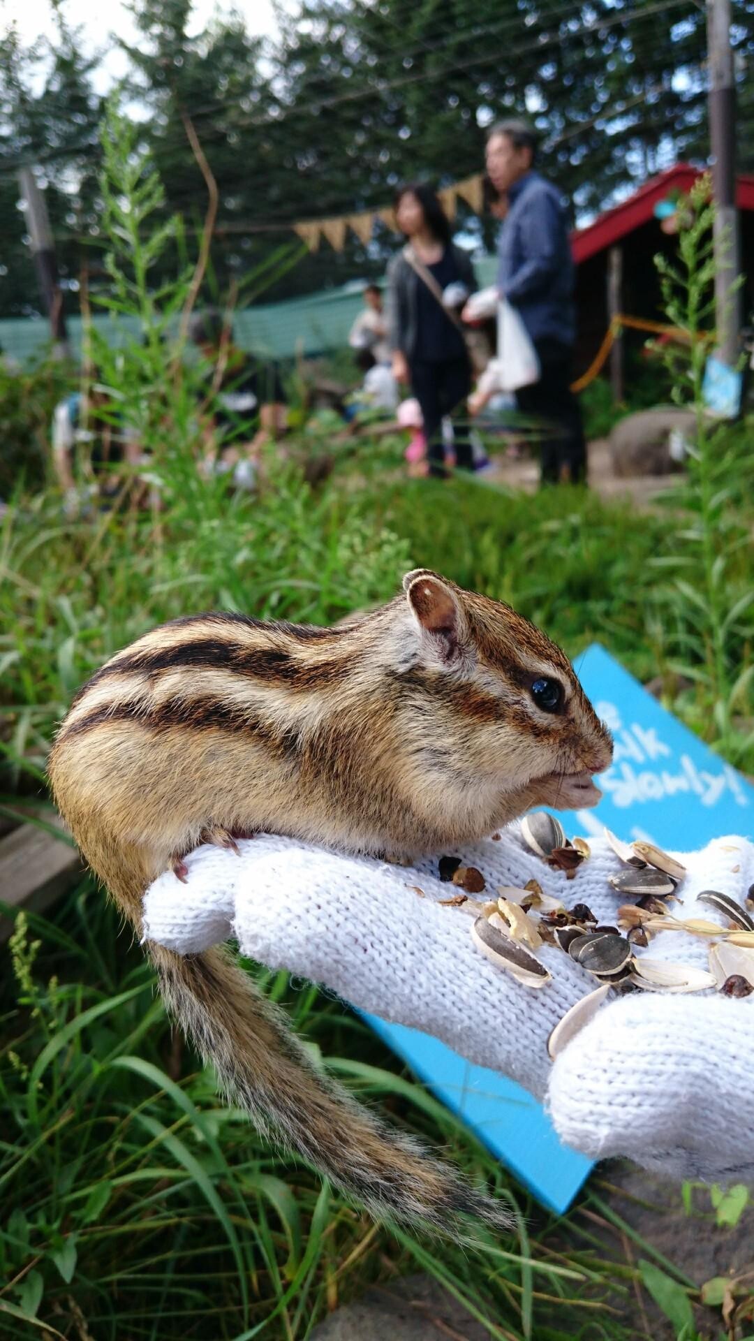 まさのページ YAMAP / ヤマップ