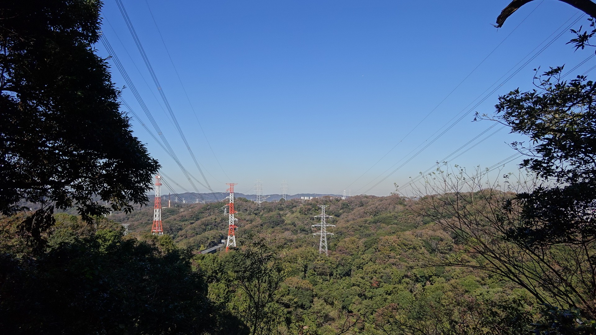 鷹取山でポケモン遊ぼうよ しっちょーさんの鷹取山 横須賀市 逗子市 の活動日記 Yamap ヤマップ
