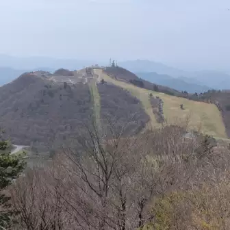 次の萩太郎山へ、頂上付近に芝桜エリアあります