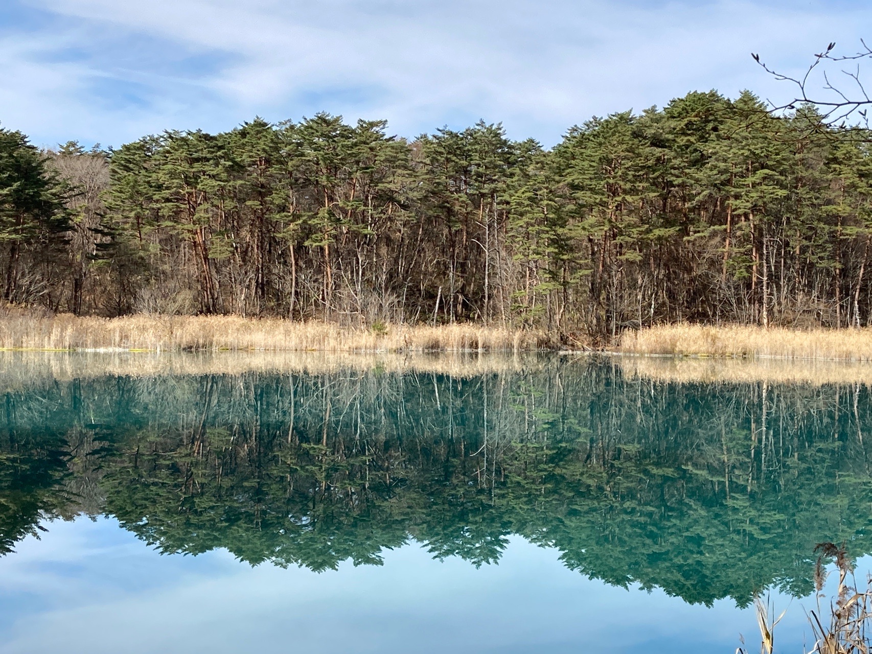 裏磐梯 五色沼ハイキング おーさんさんの磐梯山 雄国山 赤埴山の活動データ Yamap ヤマップ