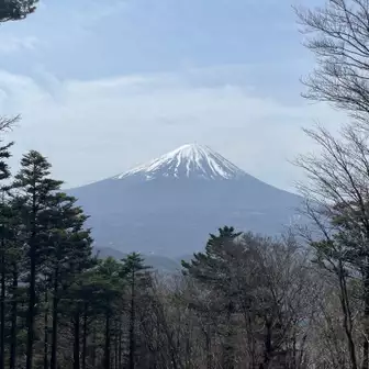 こちらも真正面に富士山。