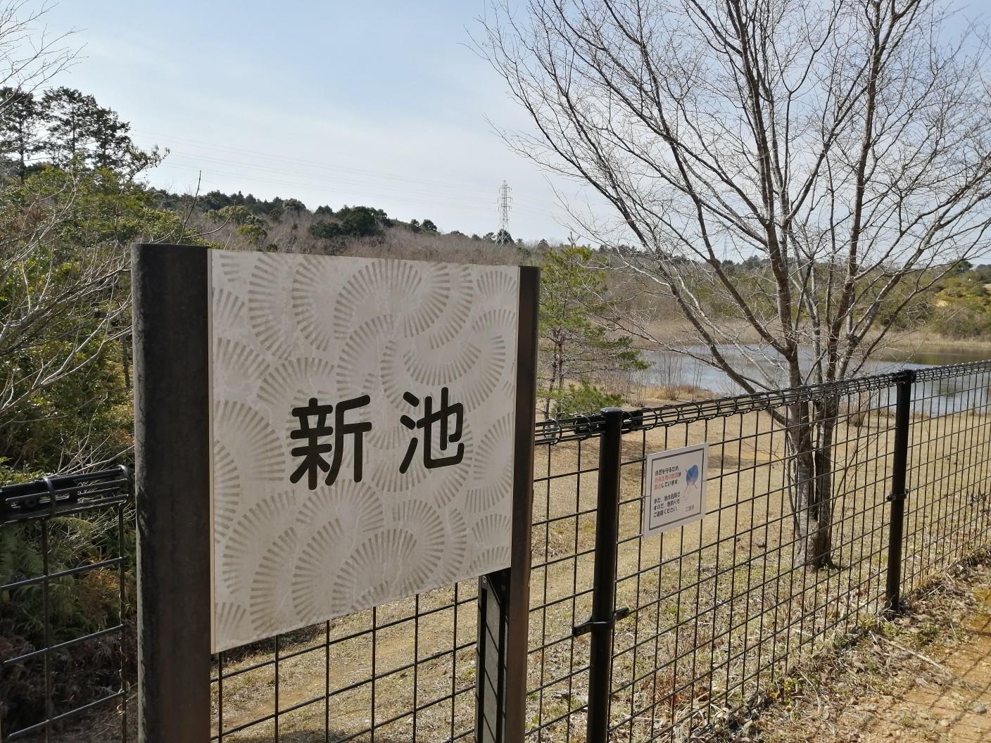 大仏山公園20230304 / かめさんさんの伊勢市の活動データ YAMAP / ヤマップ