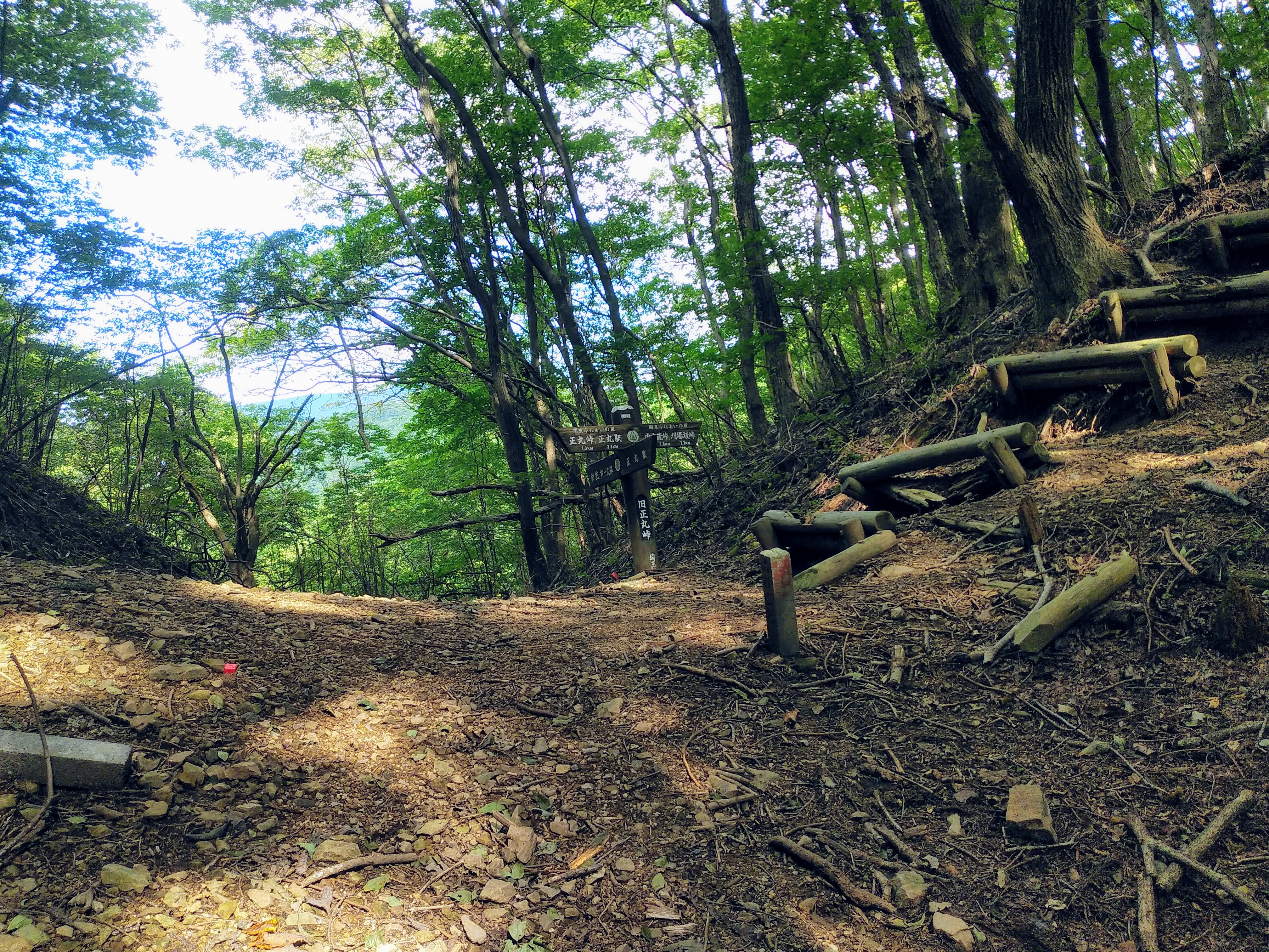 旧正丸峠 正丸峠 Tukareta1さんの武甲山 伊豆ヶ岳 小持山の活動データ Yamap ヤマップ