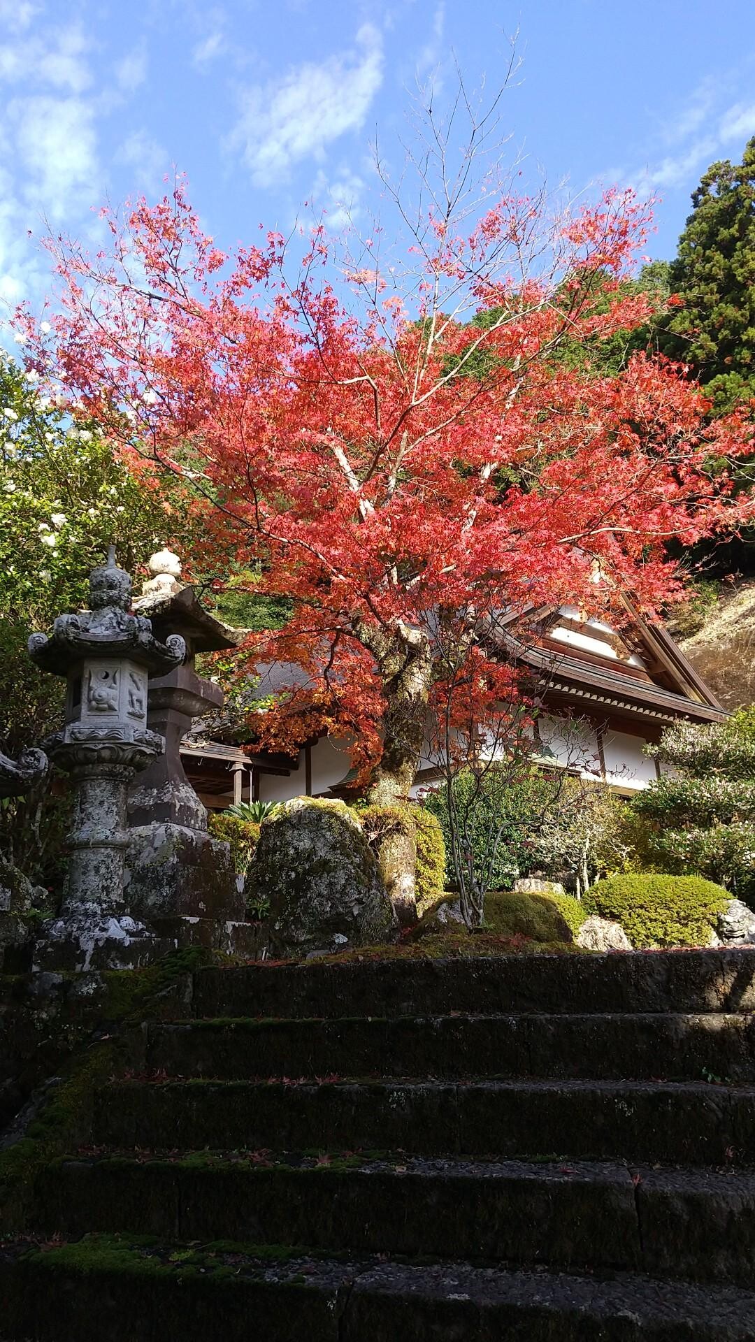 四国36不動霊場14番正光寺 / MAX1日20粁さんの登山の活動データ YAMAP / ヤマップ