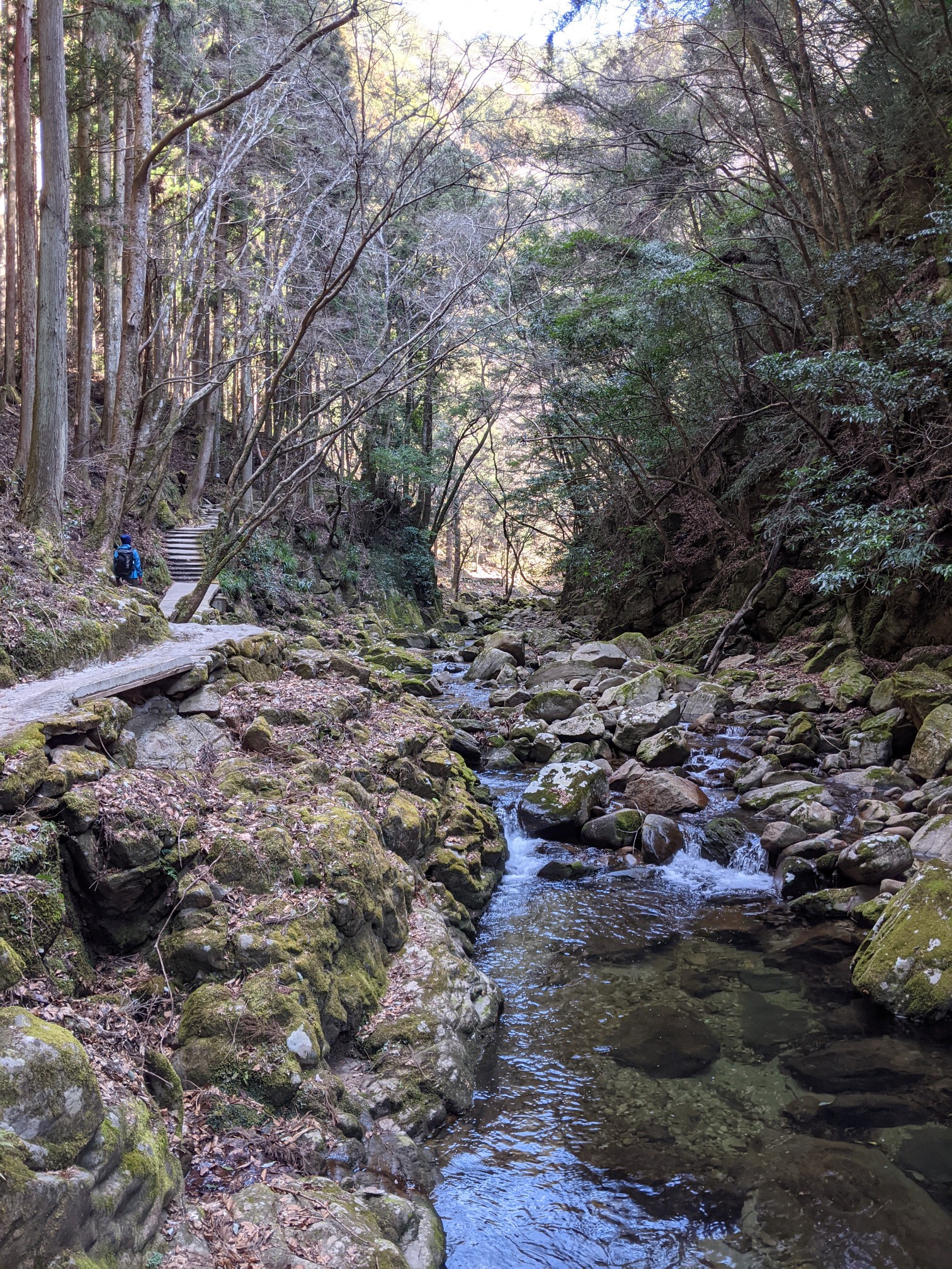赤目48滝 長坂山 相棒探しとcamera プラクティス マサヤンさんの長坂山 赤目四十八滝の活動データ Yamap ヤマップ