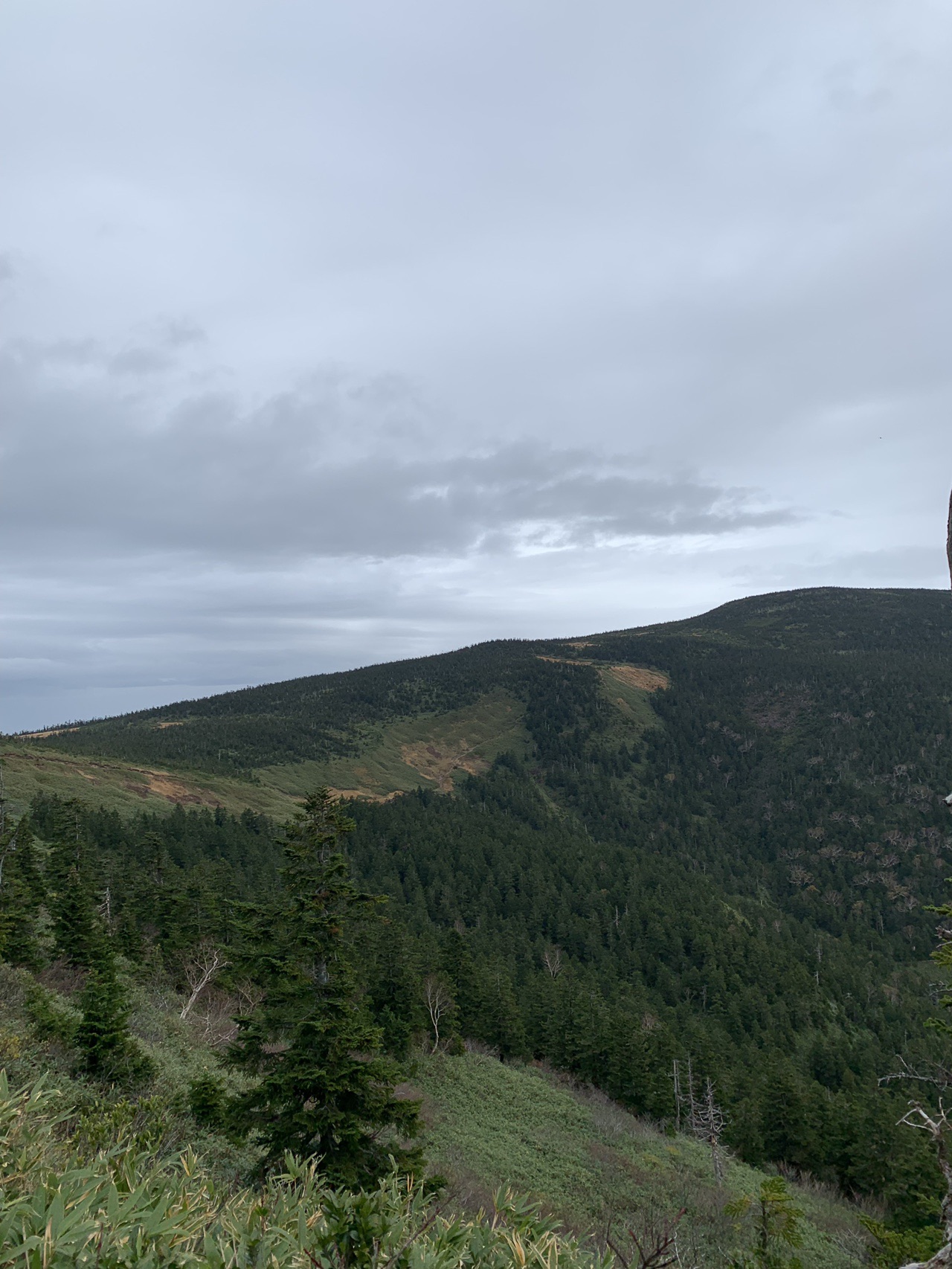 紅葉登山第2弾 西大巓 西吾妻山 グランデコゴンドラから みほさんの吾妻山 一切経山の活動データ Yamap ヤマップ