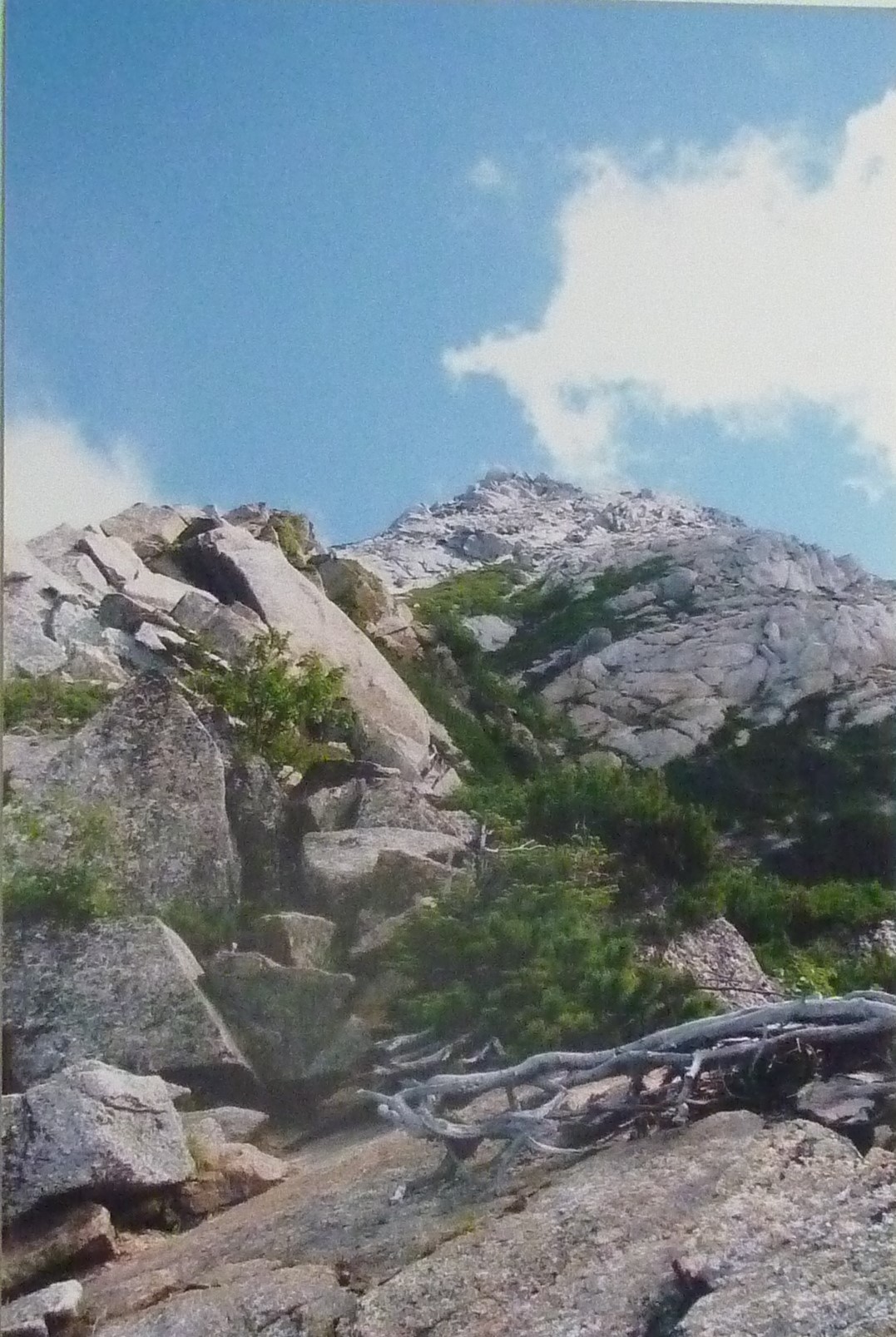 北沢峠～甲斐駒ヶ岳 真っ白な花崗岩の頂へ / いっちーさんの甲斐駒ヶ岳・日向山の活動データ YAMAP / ヤマップ