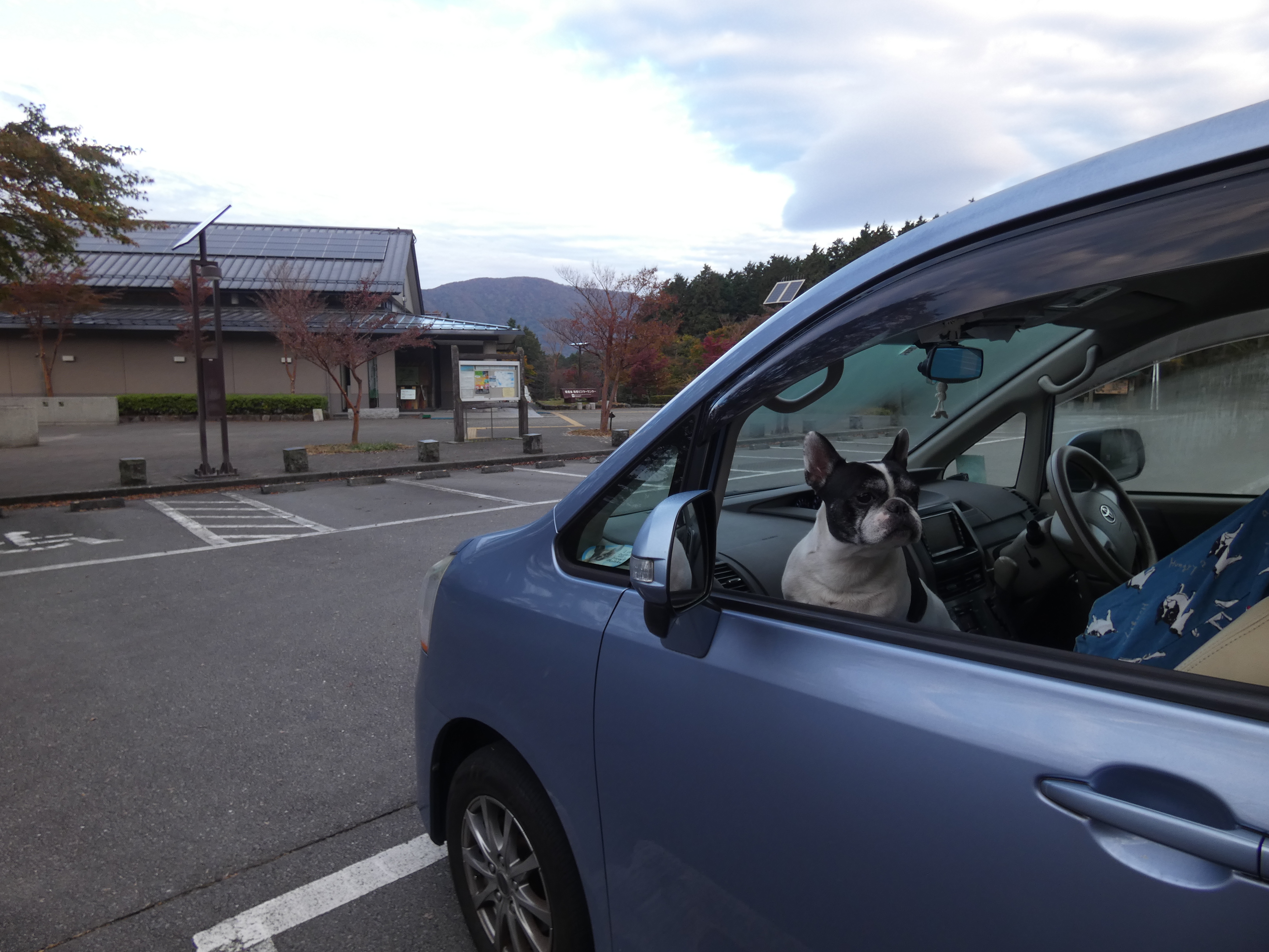 秋を満喫 車中泊 仙石原 ポルトスさんの箱根山 神山の活動データ Yamap ヤマップ