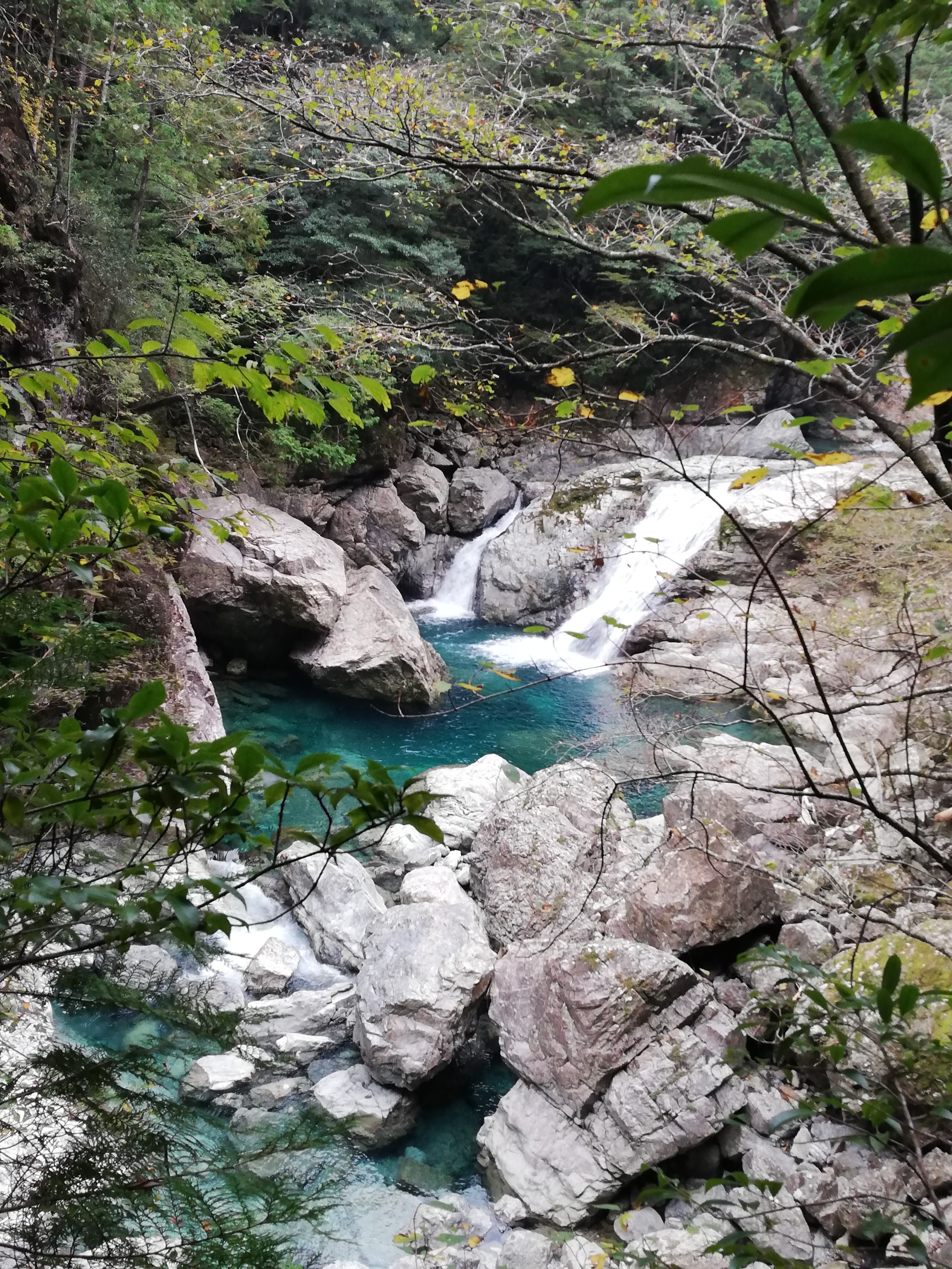 大台ヶ原 大杉谷 桃の木小屋 みほっちさんの大台ヶ原山 日出ヶ岳 大杉谷の活動データ Yamap ヤマップ