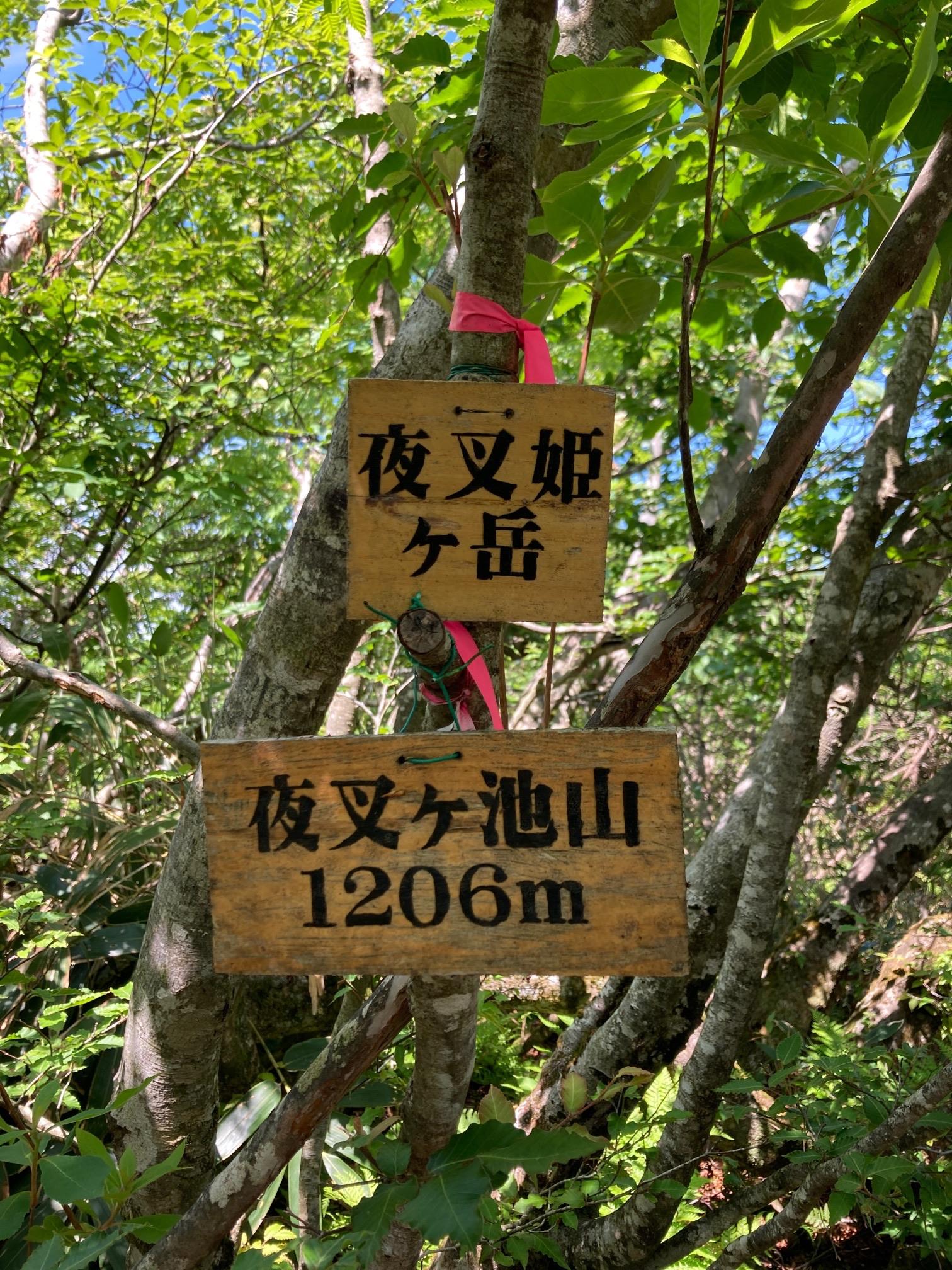 完登【近江百山】🎉 三国岳 と夜叉丸・夜叉ヶ池山 三国岳は