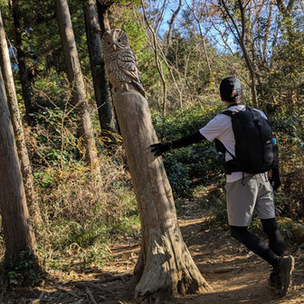 出羽三山　開祖蜂子皇子　御掛軸 出羽三山 開祖蜂子皇子 御掛軸 - メルカリ