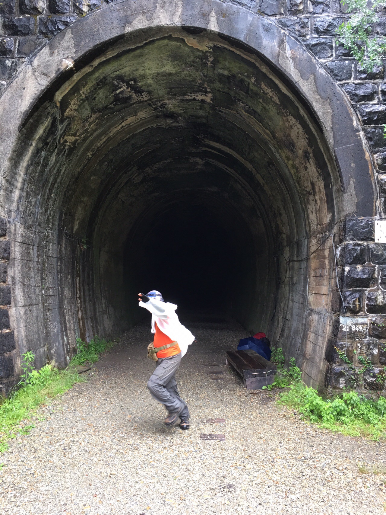 No 81 雨模様 武田尾廃線敷ハイキング 宝塚市立手塚治虫記念館 Jjeyさんの中山 大峰山の活動日記 Yamap ヤマップ