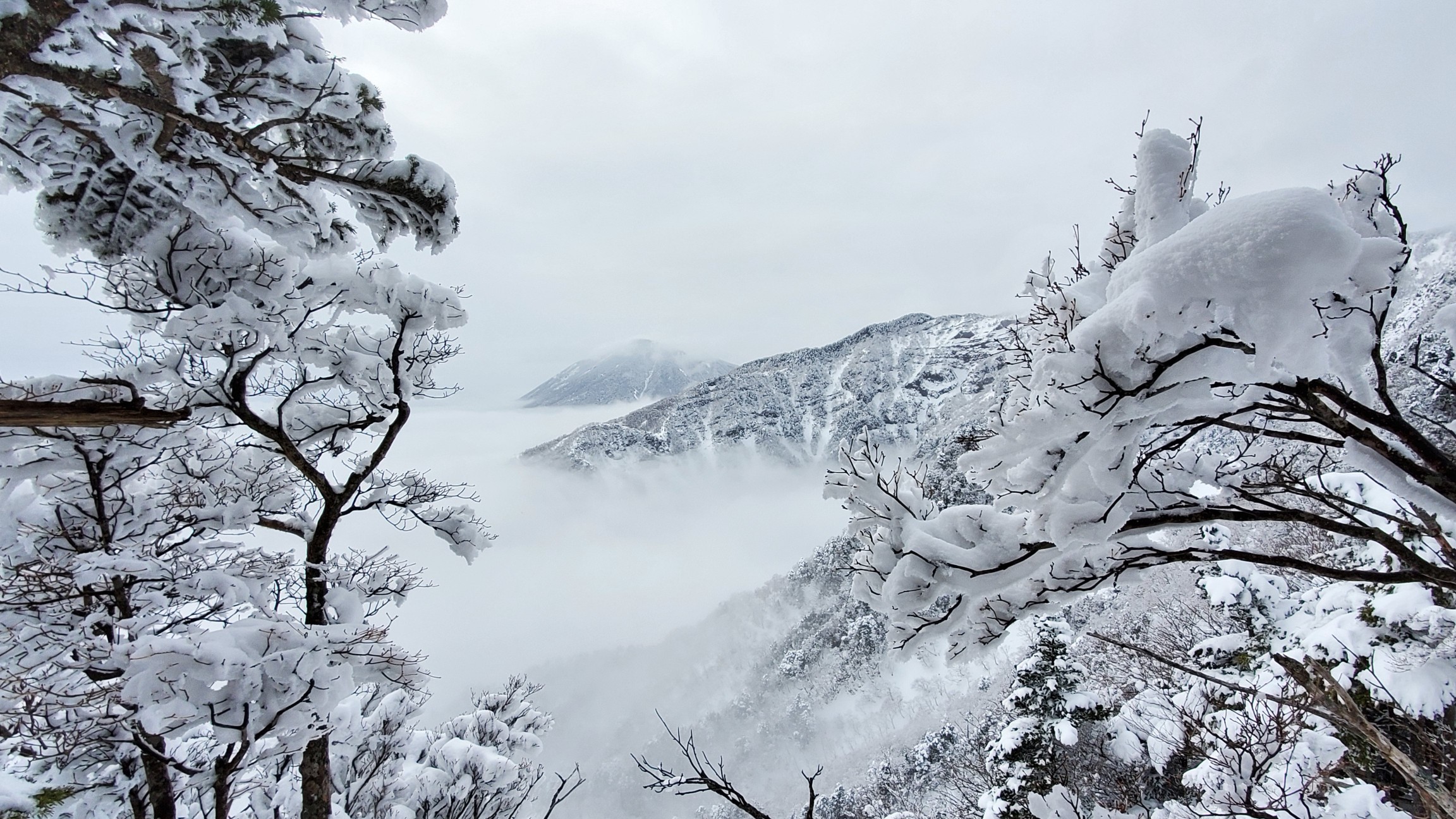 水墨画 赤薙山 幻想的な雲海に出会う 湯気レンジャーさんの女峰山 赤薙山 大真名子山の活動データ Yamap ヤマップ