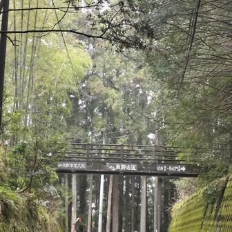 熊野古道 小辺路 小辺路は、あの吊り橋の下をくぐって舗装路に降りるのでした💦