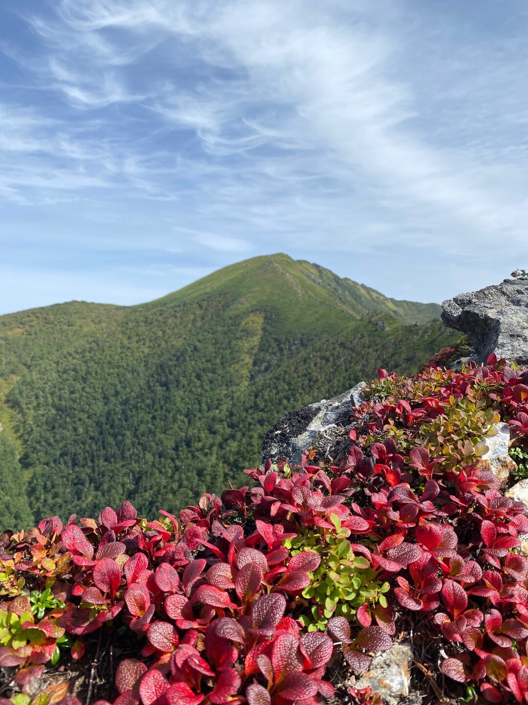 武利岳・武華山 絶景の長〜い稜線 / シュウさんの武利岳・武華山の活動データ YAMAP / ヤマップ