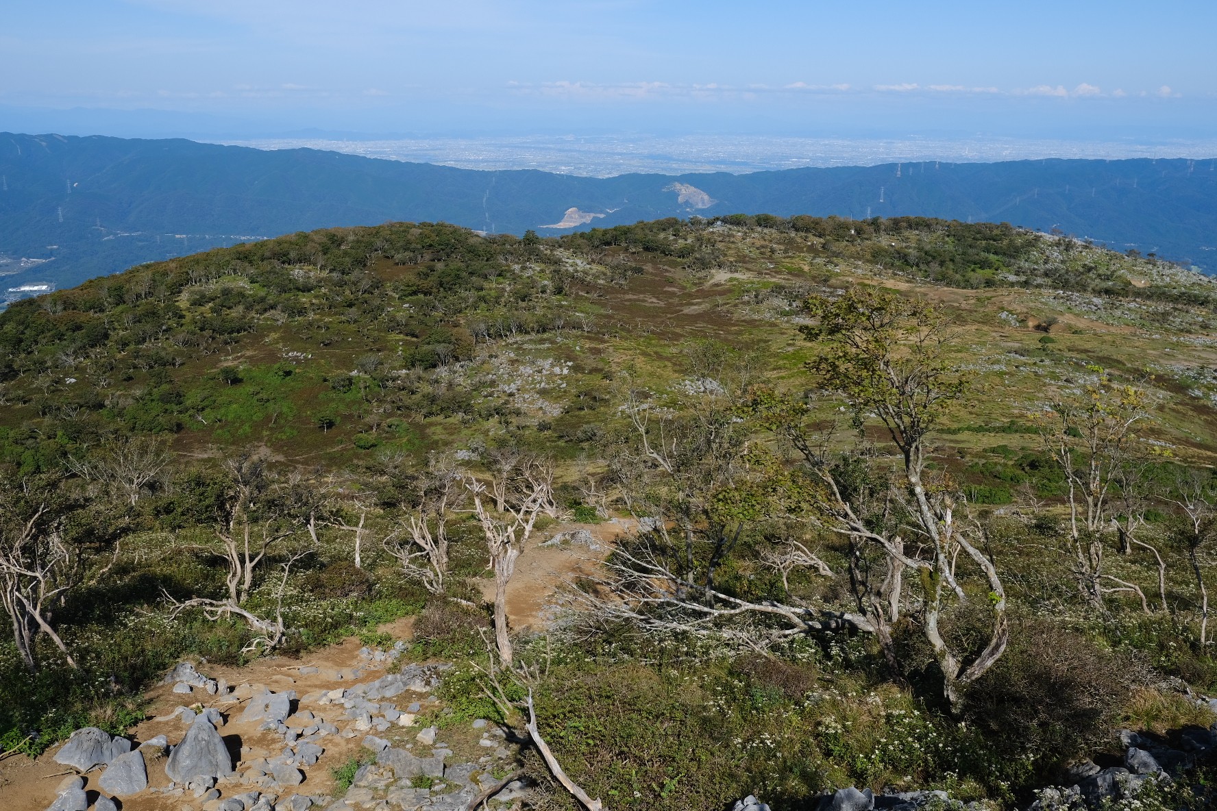 藤原岳 三重県 滋賀県 三重 滋賀 の山総合情報ページ 登山ルート 写真 天気情報など Yamap ヤマップ