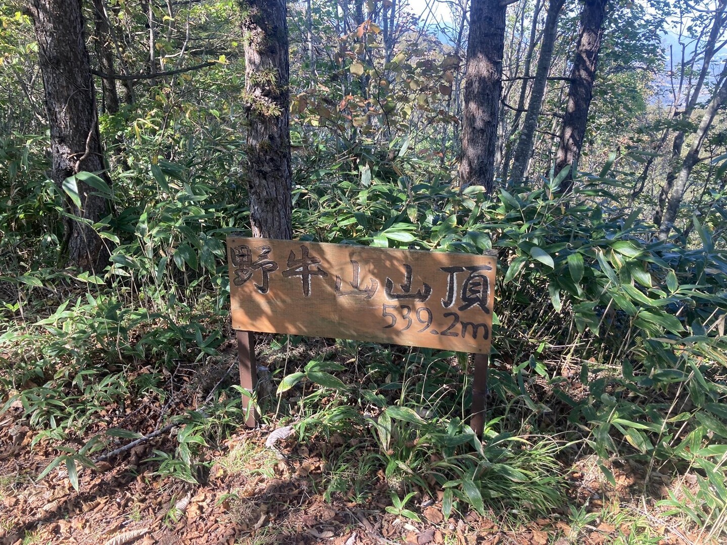 野牛山 / ミルさんの野牛山・北広山の活動データ YAMAP / ヤマップ