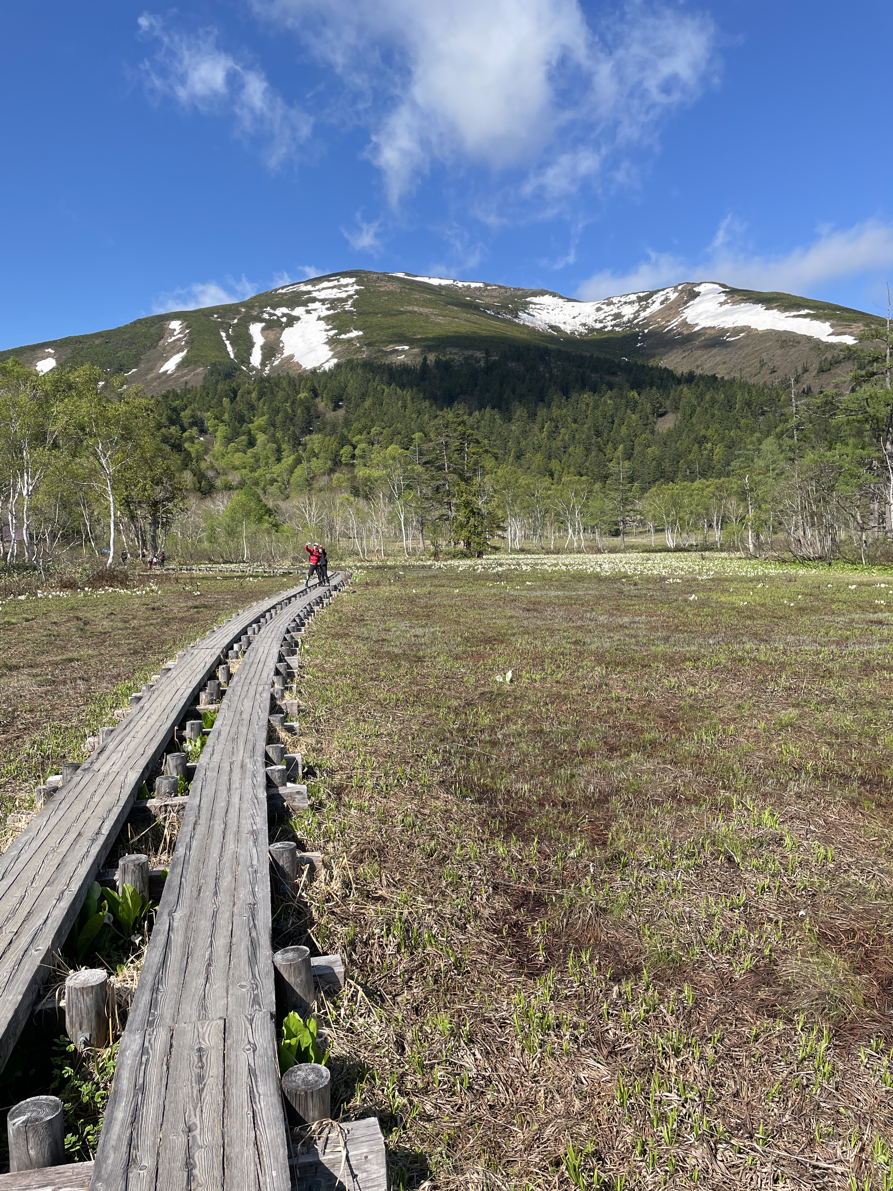 尾瀬ヶ原 鳩待峠から Rinさんの尾瀬 燧ヶ岳の活動日記 Yamap ヤマップ