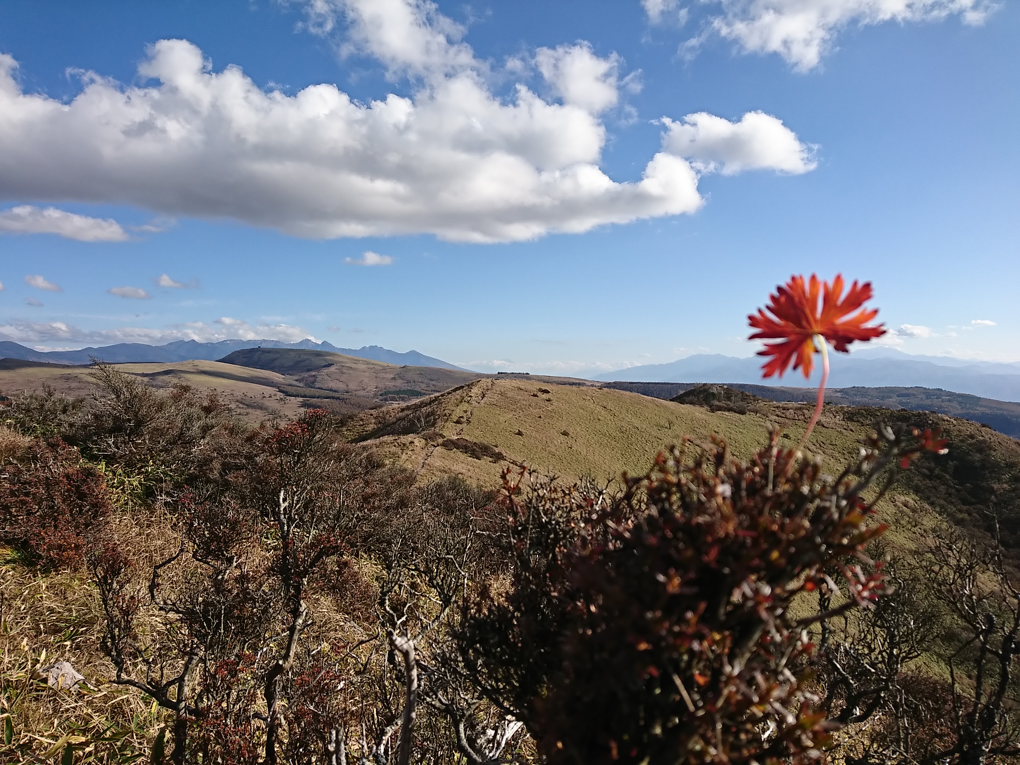 ハート型 矢島湿原を眼下に望む 鷲ヶ峰ハイク さるさんの霧ヶ峰 車山 大笹峰の活動データ Yamap ヤマップ