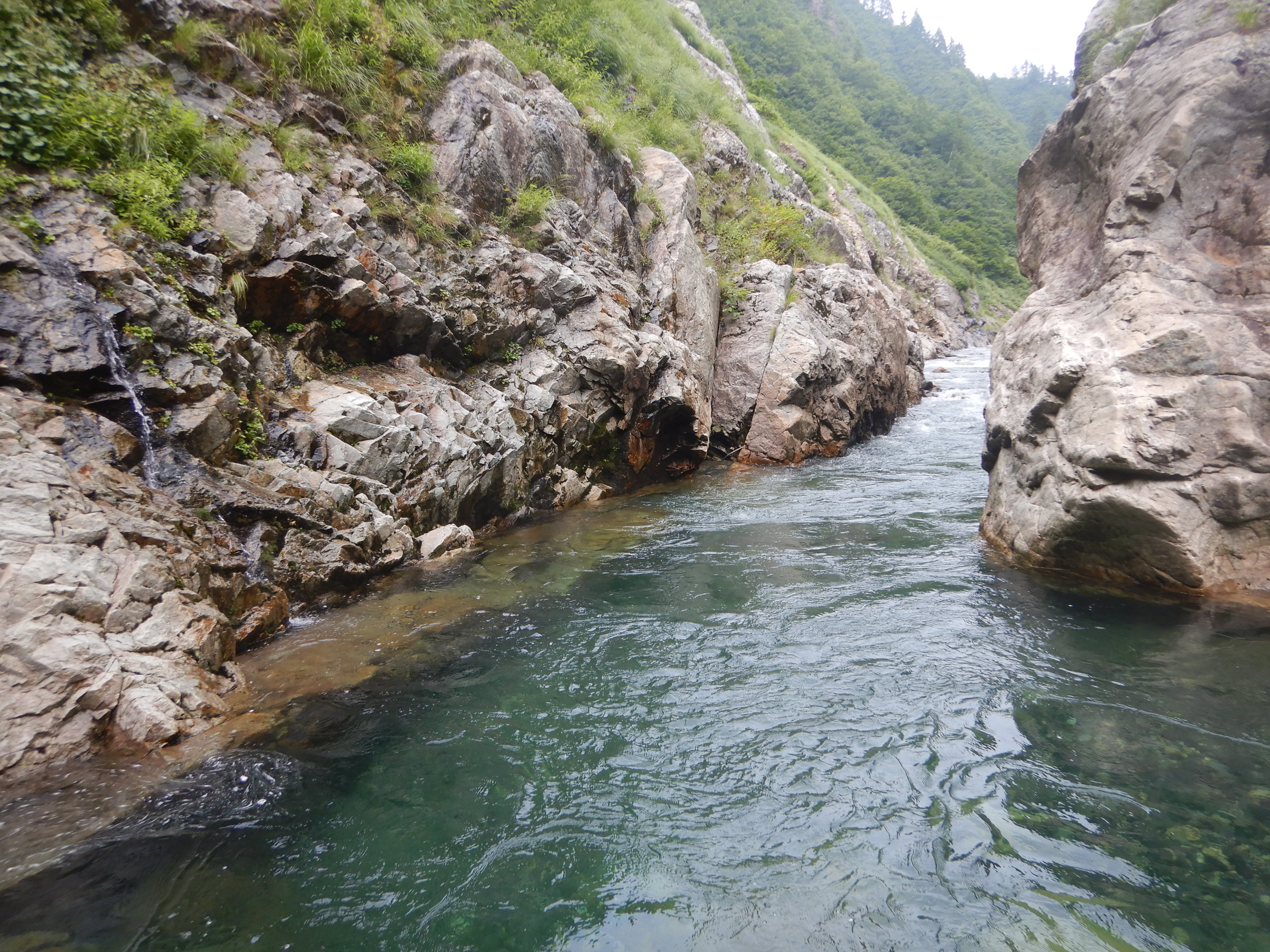 奥利根 利根川本谷 沢登り Soraさんの尾瀬 至仏山 悪沢岳 笠ヶ岳の活動日記 Yamap ヤマップ