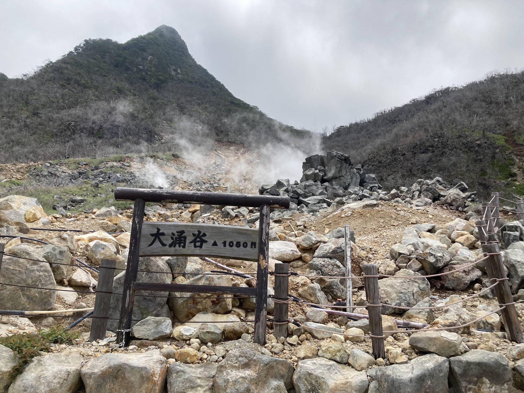 大涌谷自然研究路ガイドツアー / kz...ymさんの箱根山・神山の活動データ | YAMAP / ヤマップ