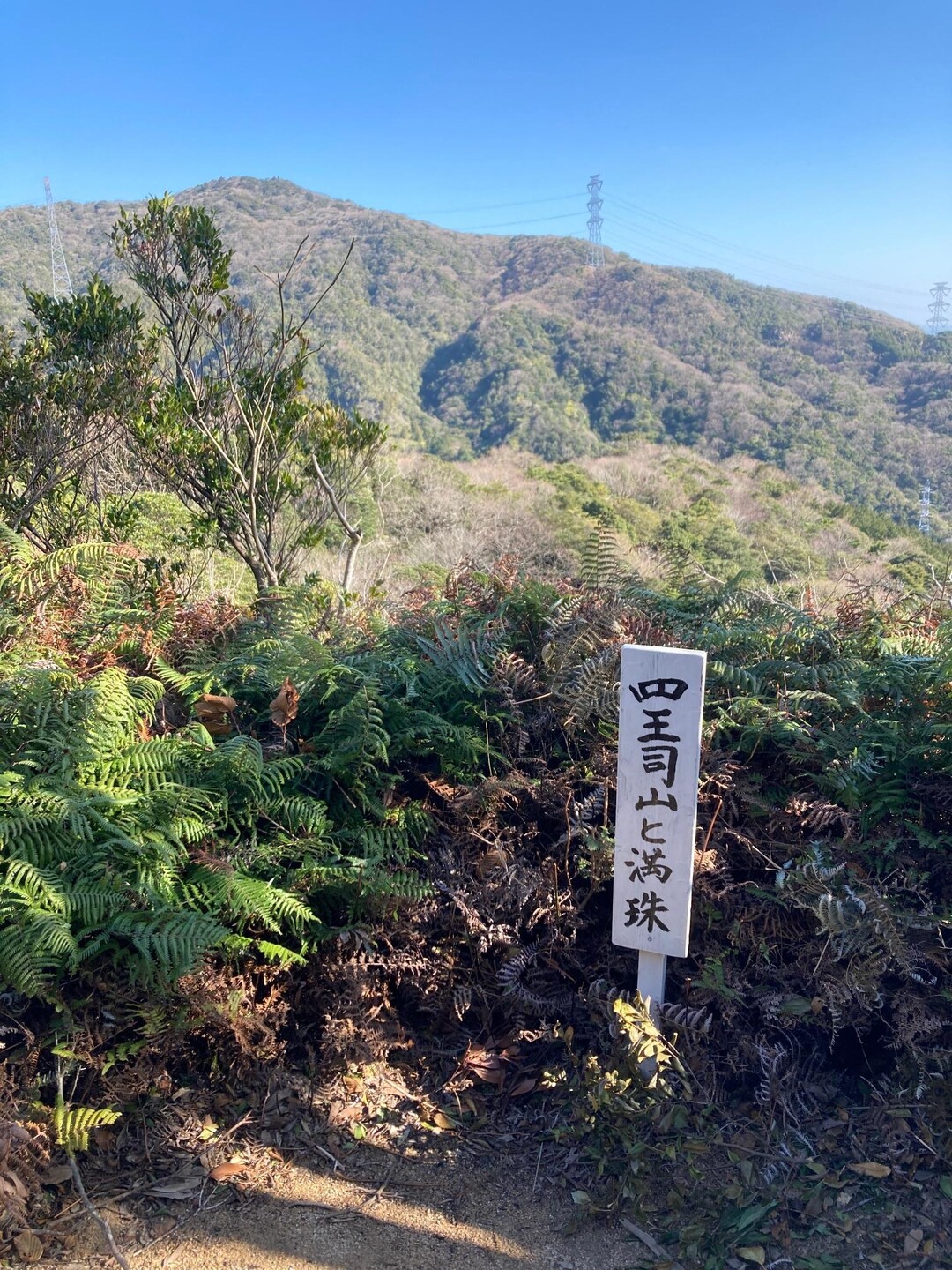 田倉山・勝山・岩山・四王司山 / ゆう1さんの勝山・四王司山の活動データ YAMAP / ヤマップ