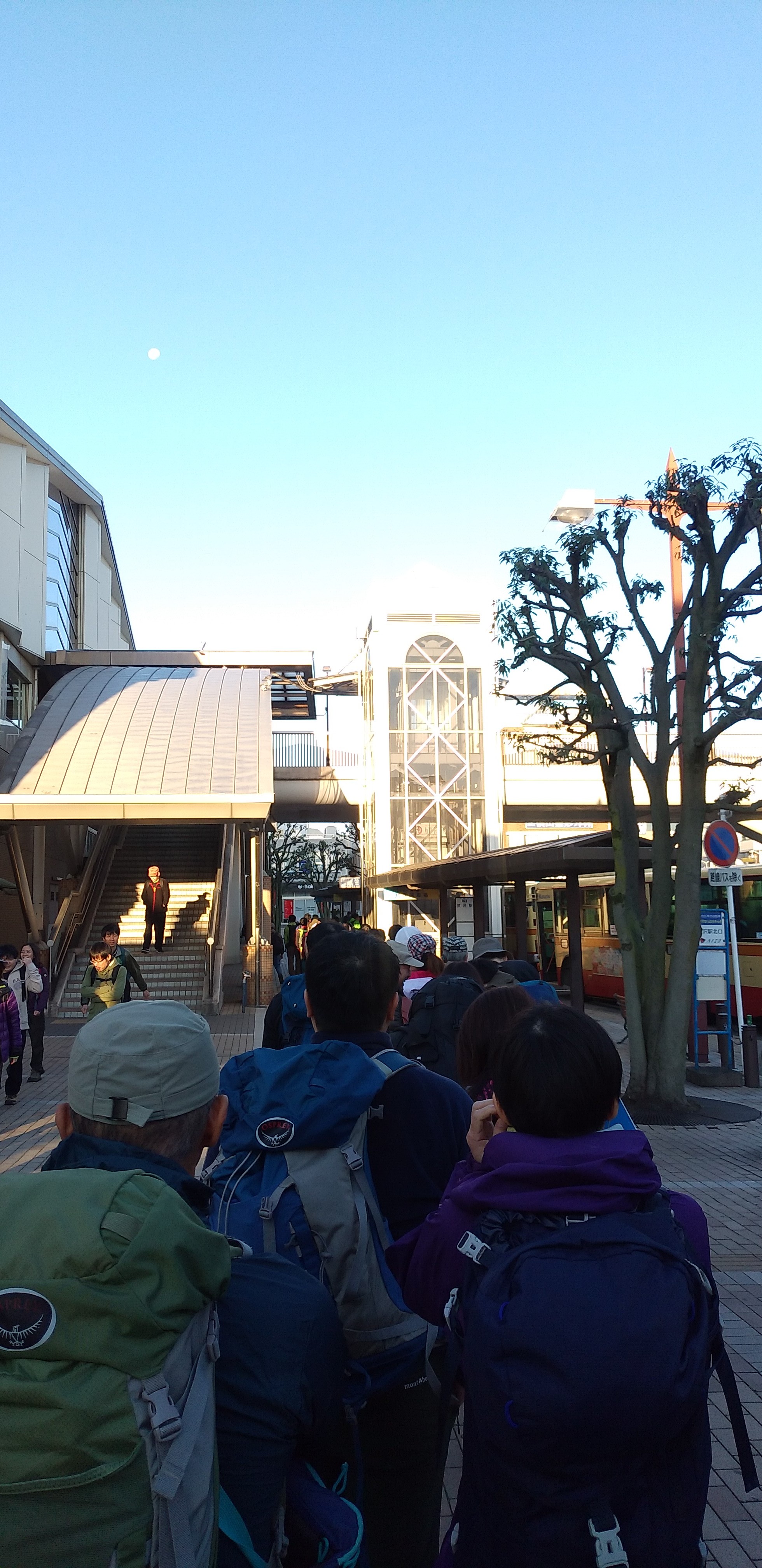 日帰り 鳥尾尾根 長尾尾根 バリルート大山北尾根を歩く Eric Trophyさんの大山の活動日記 Yamap ヤマップ