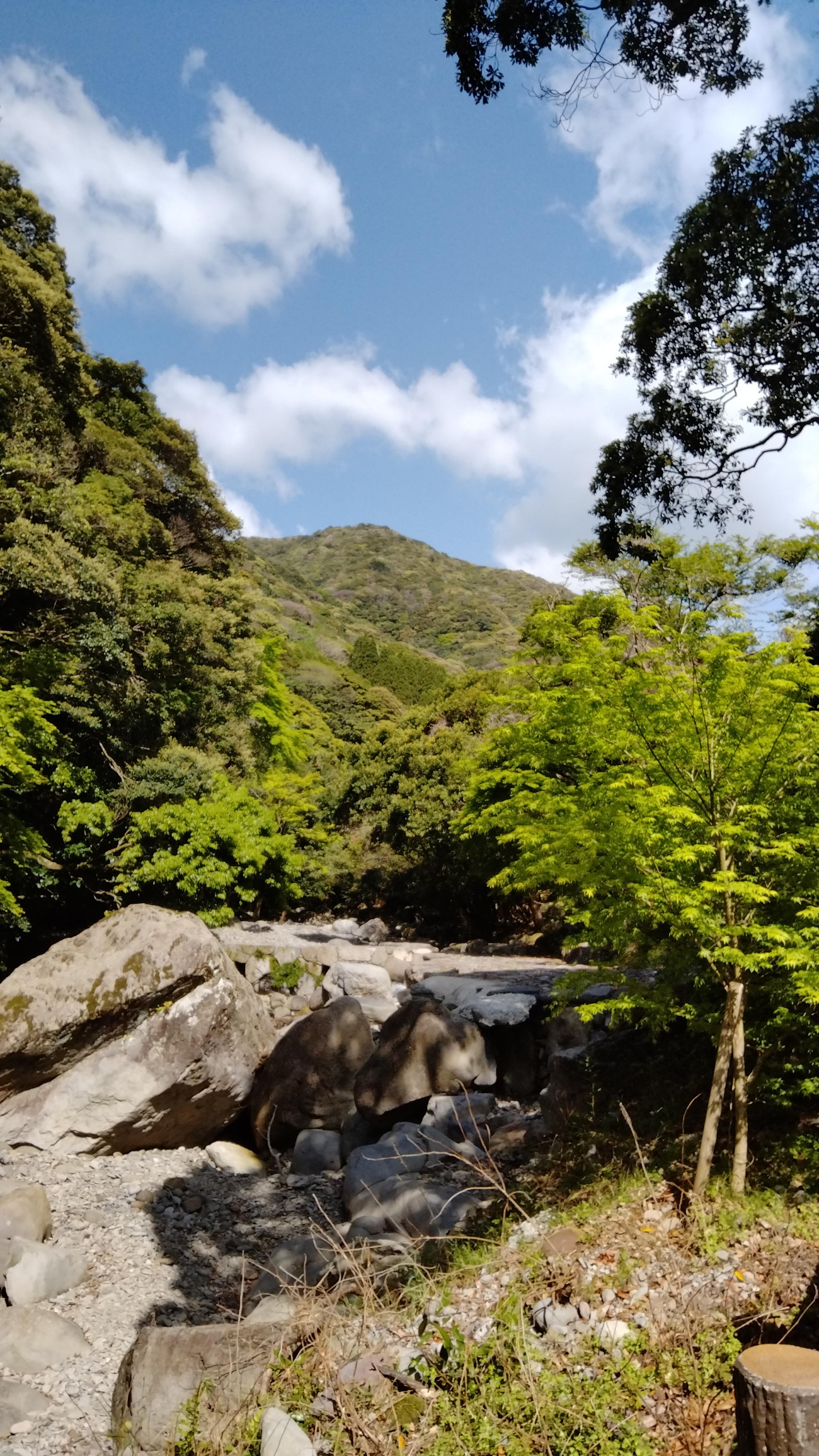 こんなんじゃ傾山 は無理 たか 孤高のソロッパー さんの登山の活動日記 Yamap ヤマップ