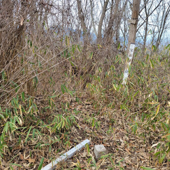 天狗山・みやま公園 麦飯山はこのありさま笑
