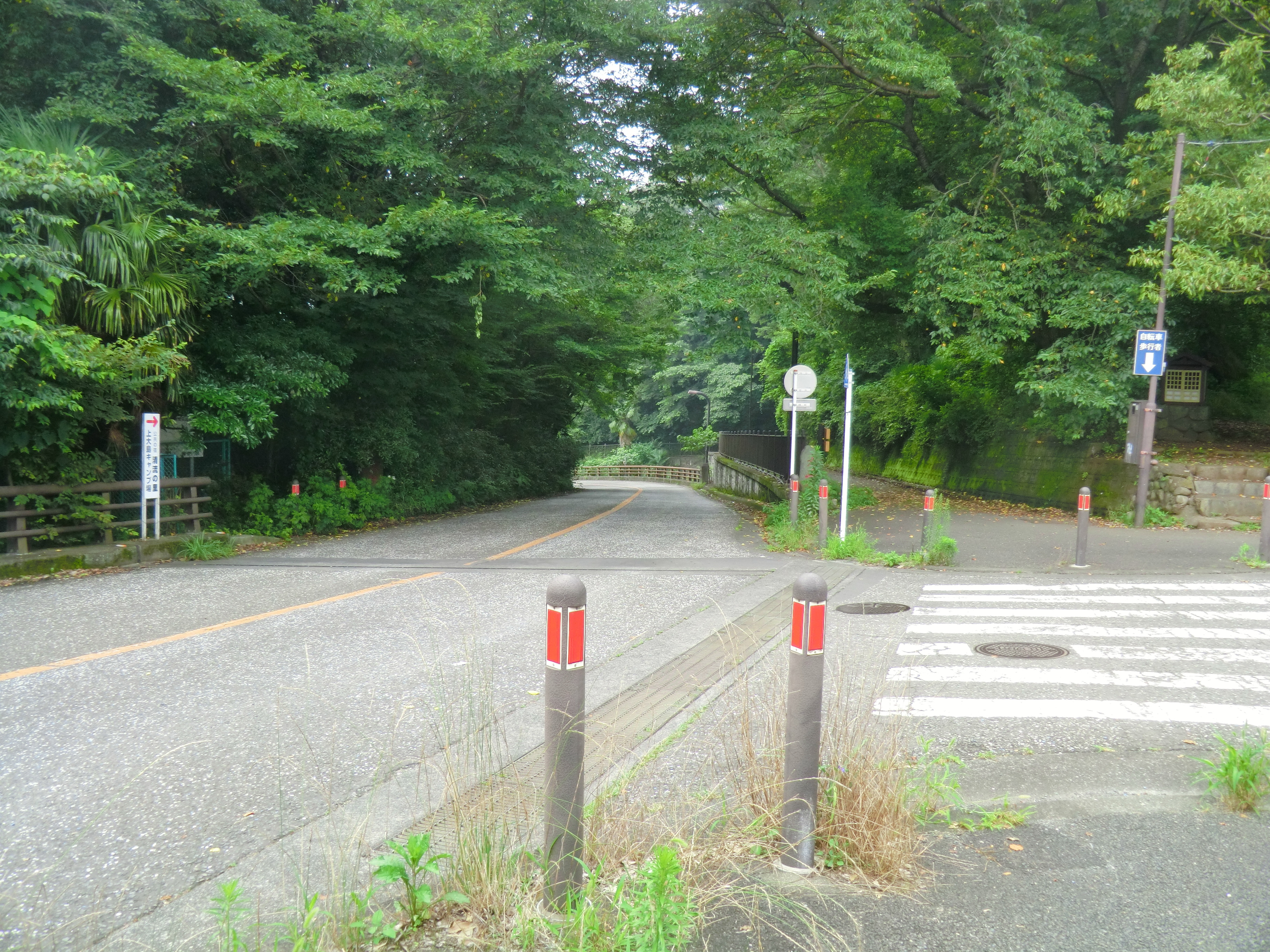20190721相模川サイクリング（小倉橋・相模川右岸・新相模大橋(国道246 