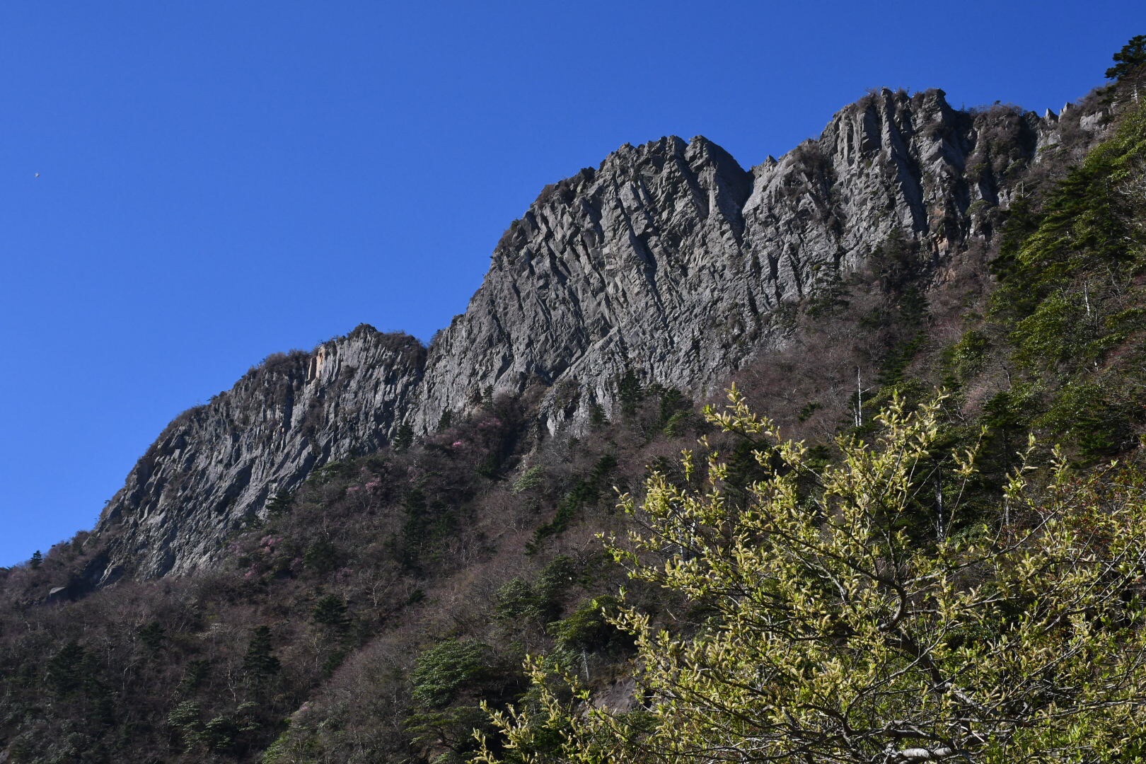 石鎚山 土小屋 弥山 天狗 二ノ森 堂ヶ森 マサやんさんの石鎚山 堂ヶ森 二ノ森の活動データ Yamap ヤマップ