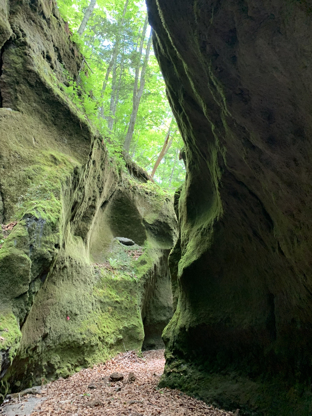 苔の洞門から樽前山を眺める あべっちさんの支笏湖の活動データ Yamap ヤマップ