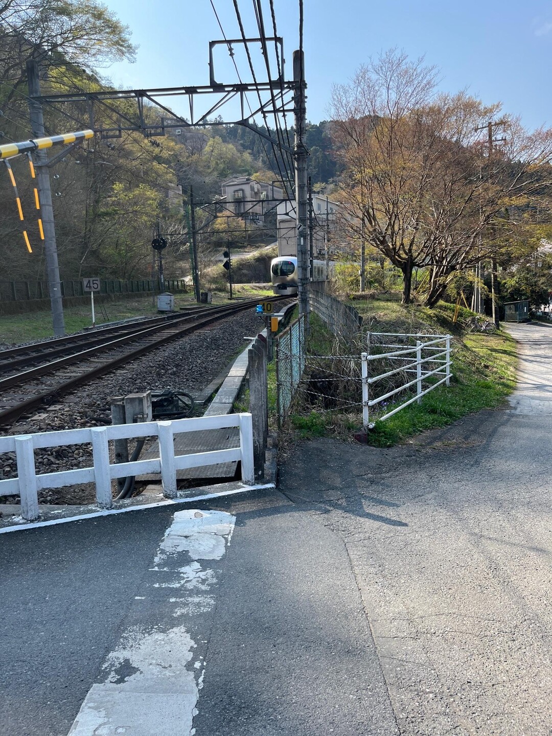 東吾野駅〜天覚山〜子ノ権現〜吾野駅 / ヤマノススメ巡礼マップ（天覚山・大高山・子の権現）の写真46枚目 YAMAP / ヤマップ