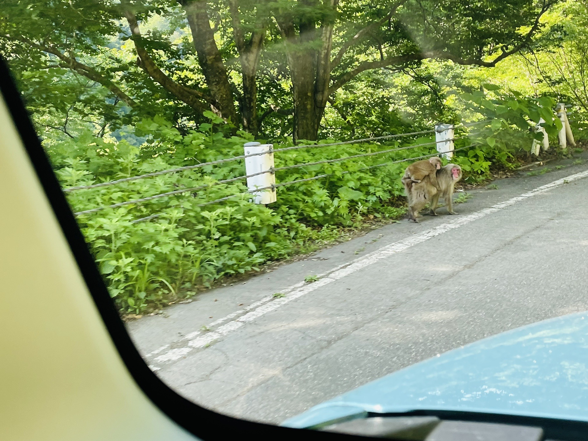 帰りにお猿さん🐒
月岡温泉の日帰り風呂に寄って帰りました♨️