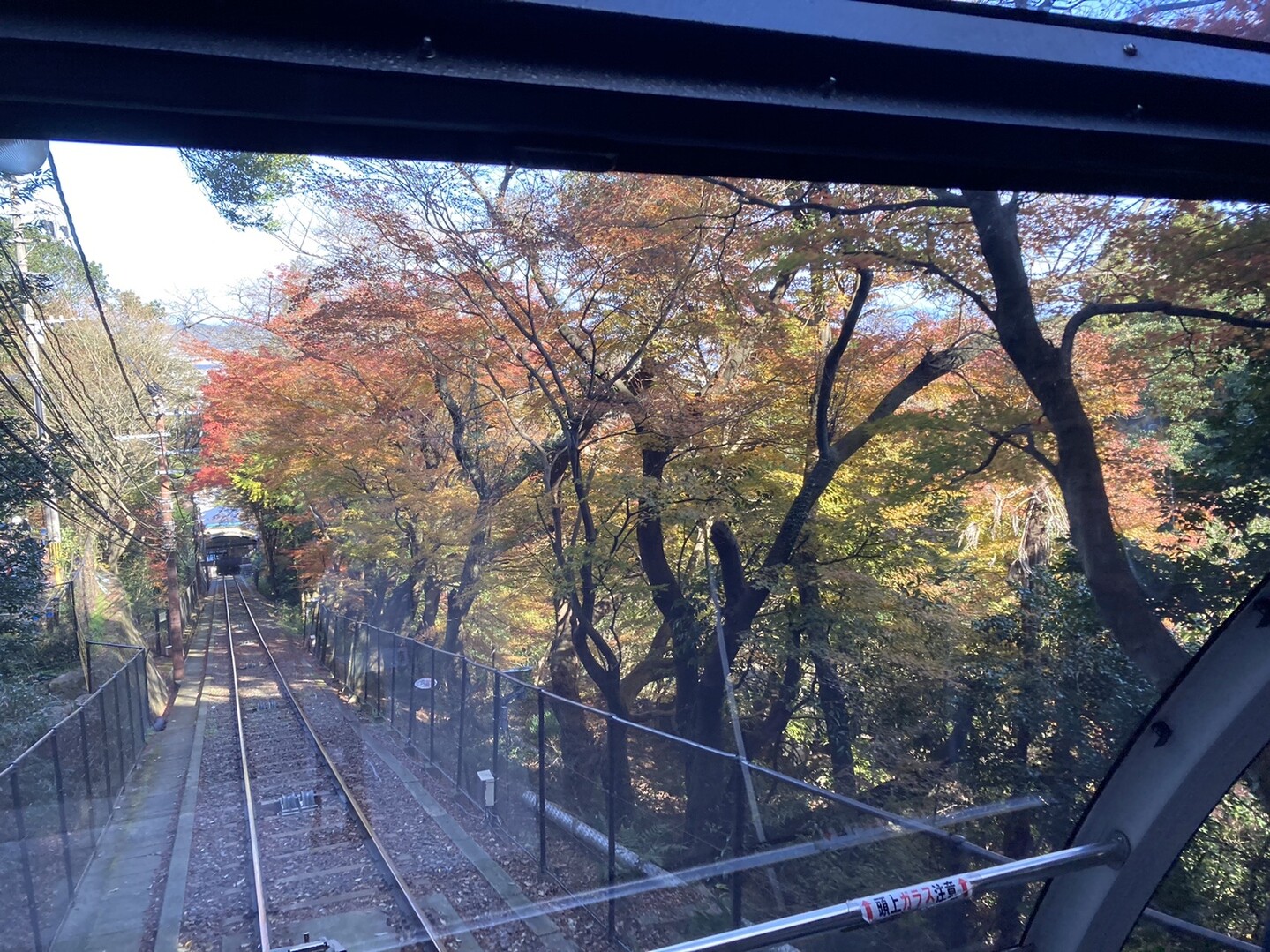 62 皿倉山 野鳥観察会 鳥の写真はありません けーすけさんの皿倉山 花尾山 帆柱山の活動日記 Yamap ヤマップ