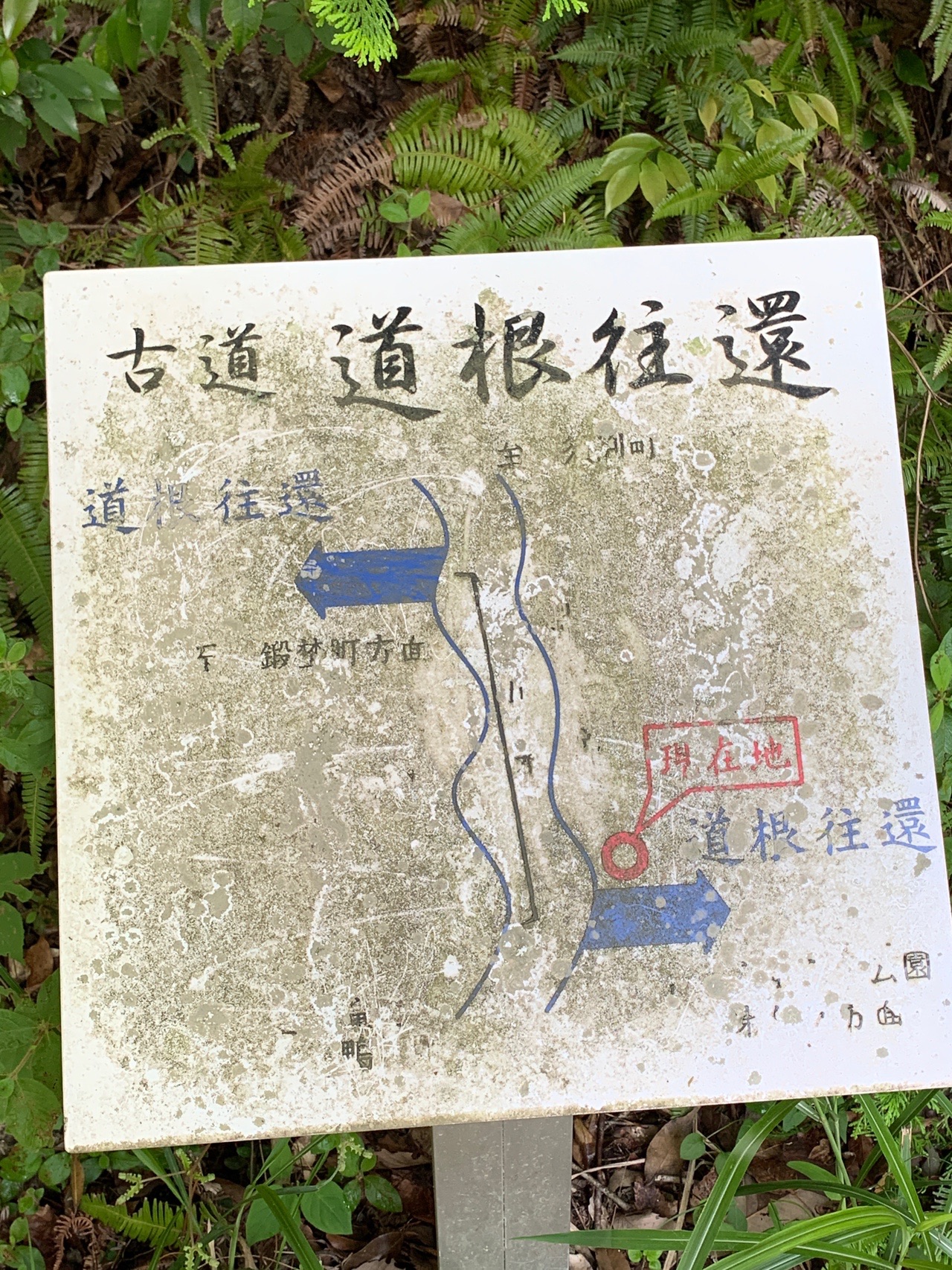 岡崎市道根往還 どうねおうかん 05 27 テツ君さんの岡崎市の活動データ Yamap ヤマップ