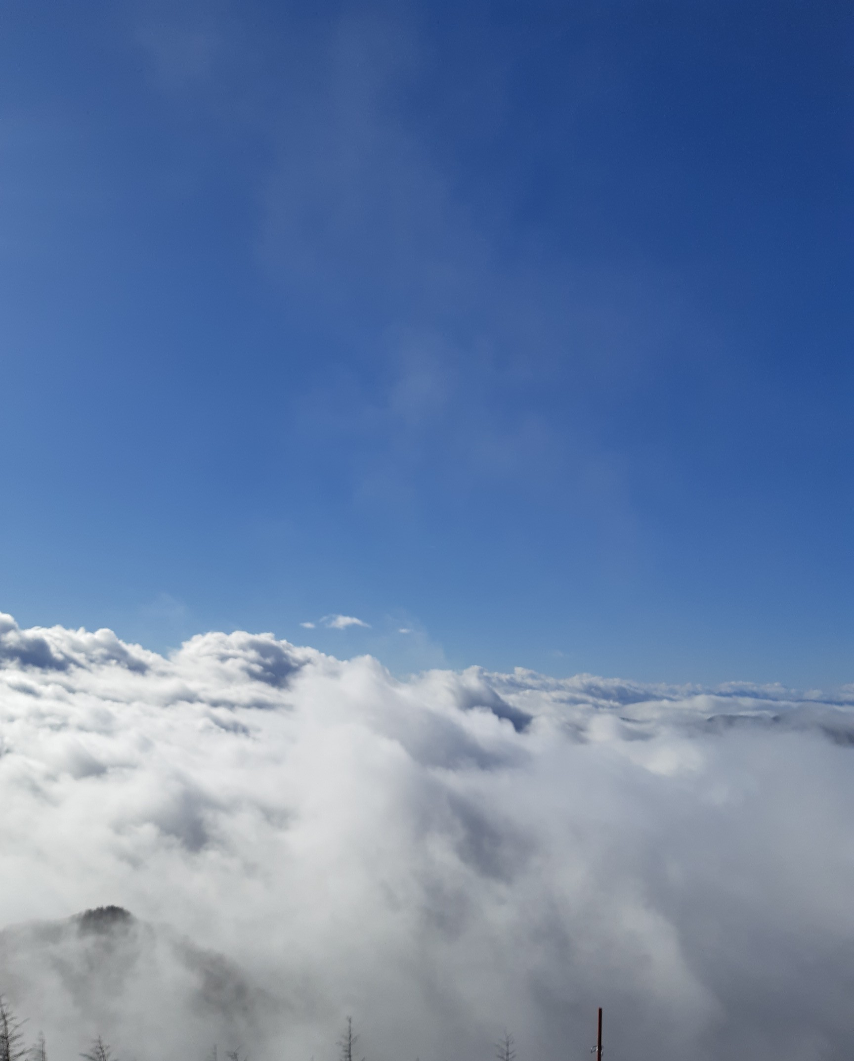 美ヶ原高原 茶臼山 青空と雲海 あけまる さんの美ヶ原の活動データ Yamap ヤマップ